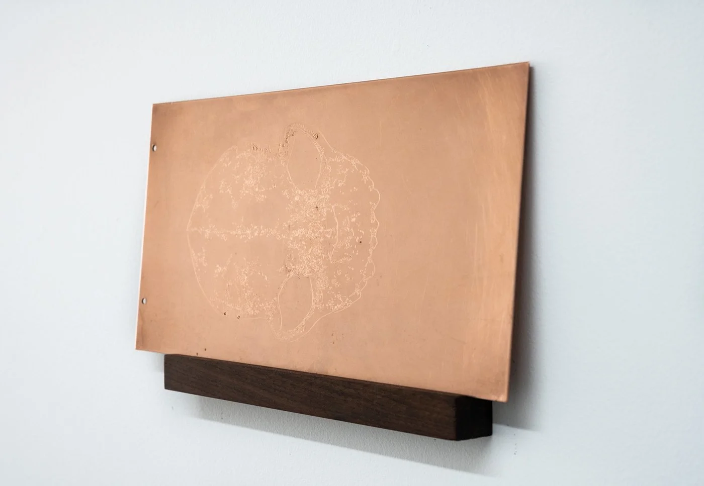 Diane Morin - Interations - espaces flottants