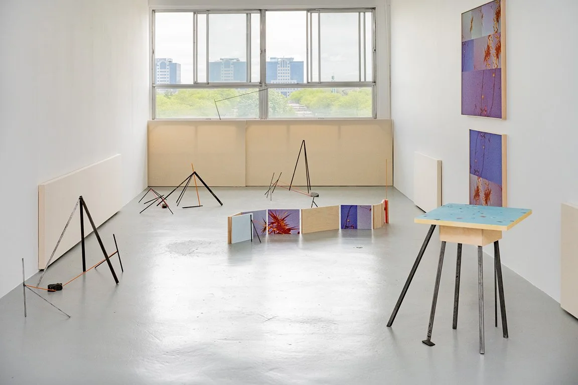 SARAH ROONEY. Soft-Interruptions.. Autobiographies des phasmes/Stick-Creature Autobiographies. Bolder-ing Pools. 2025