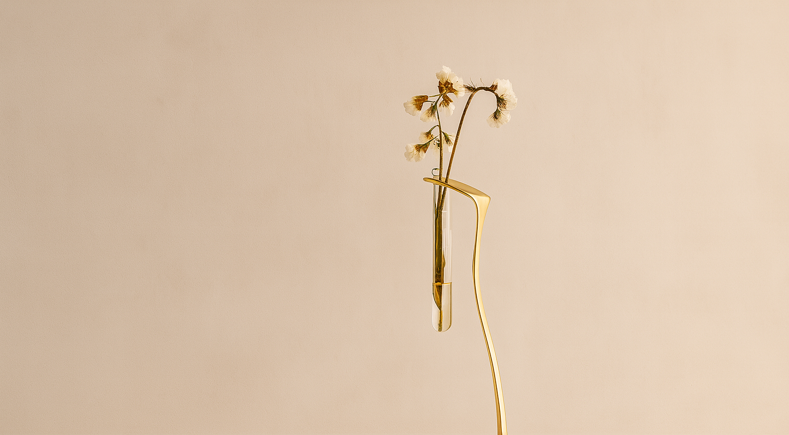 Minimalist flower arrangement with dried white flowers in a gold vase against a neutral background.