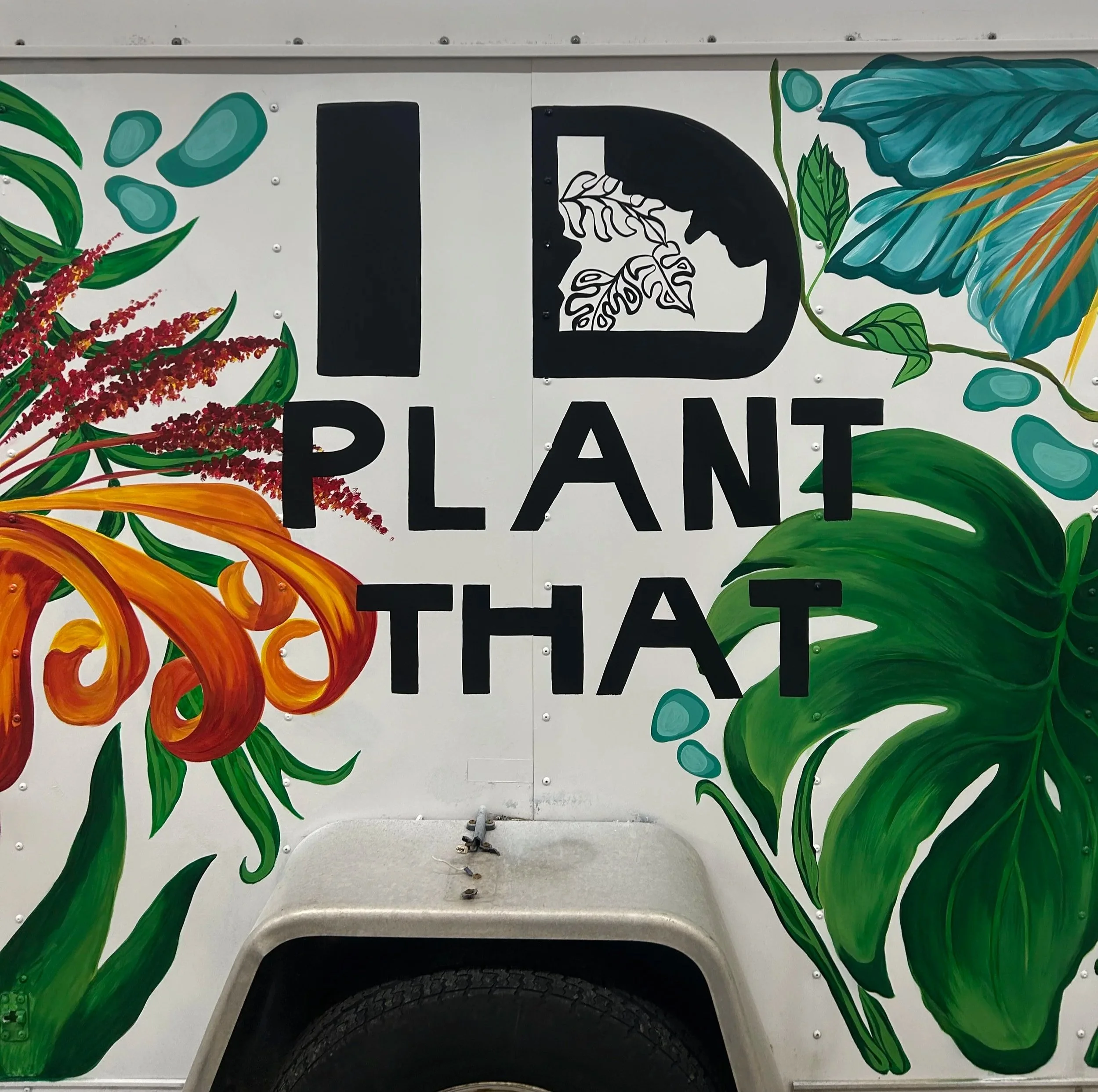 Colorful mural of tropical leaves and flowers painted on a vehicle with the words "ID Plant That" partially visible.