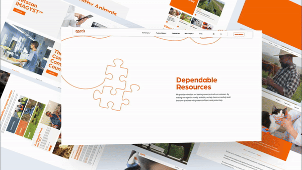 Zoetis / digital design & development
