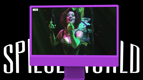 Spiegelworld / digital design & development, e-commerce
