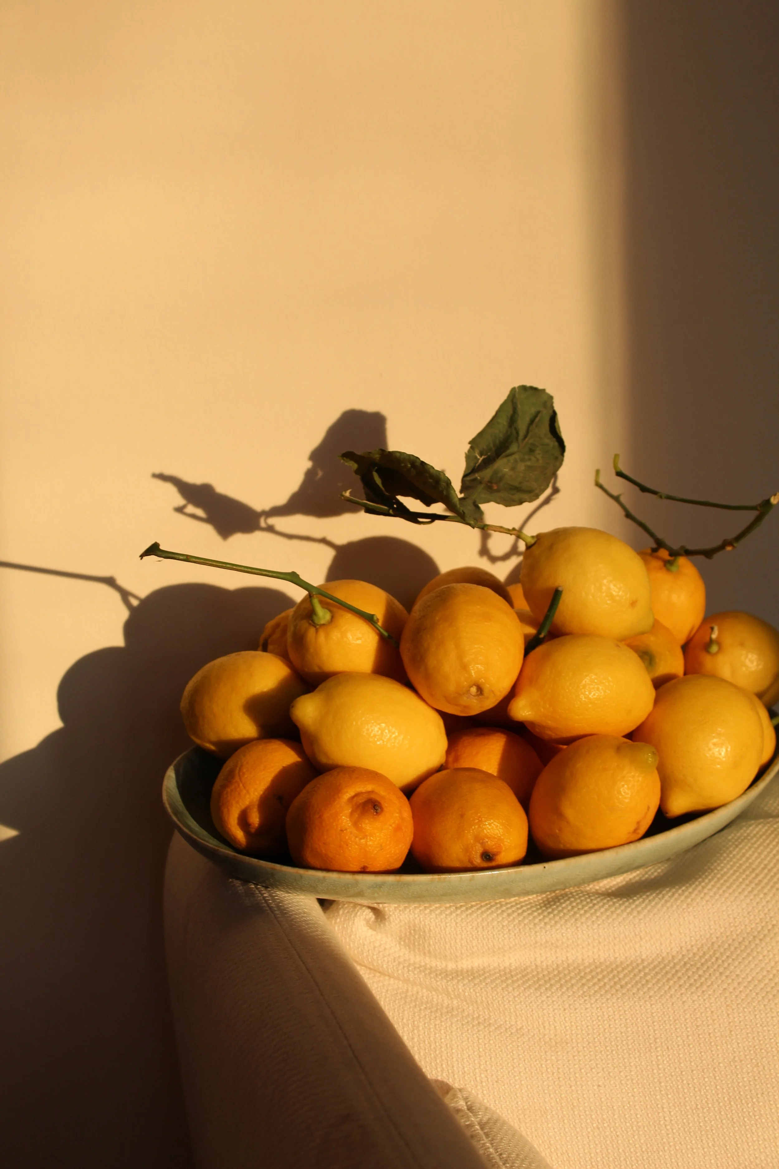 Too Many Lemons: Singles Edition