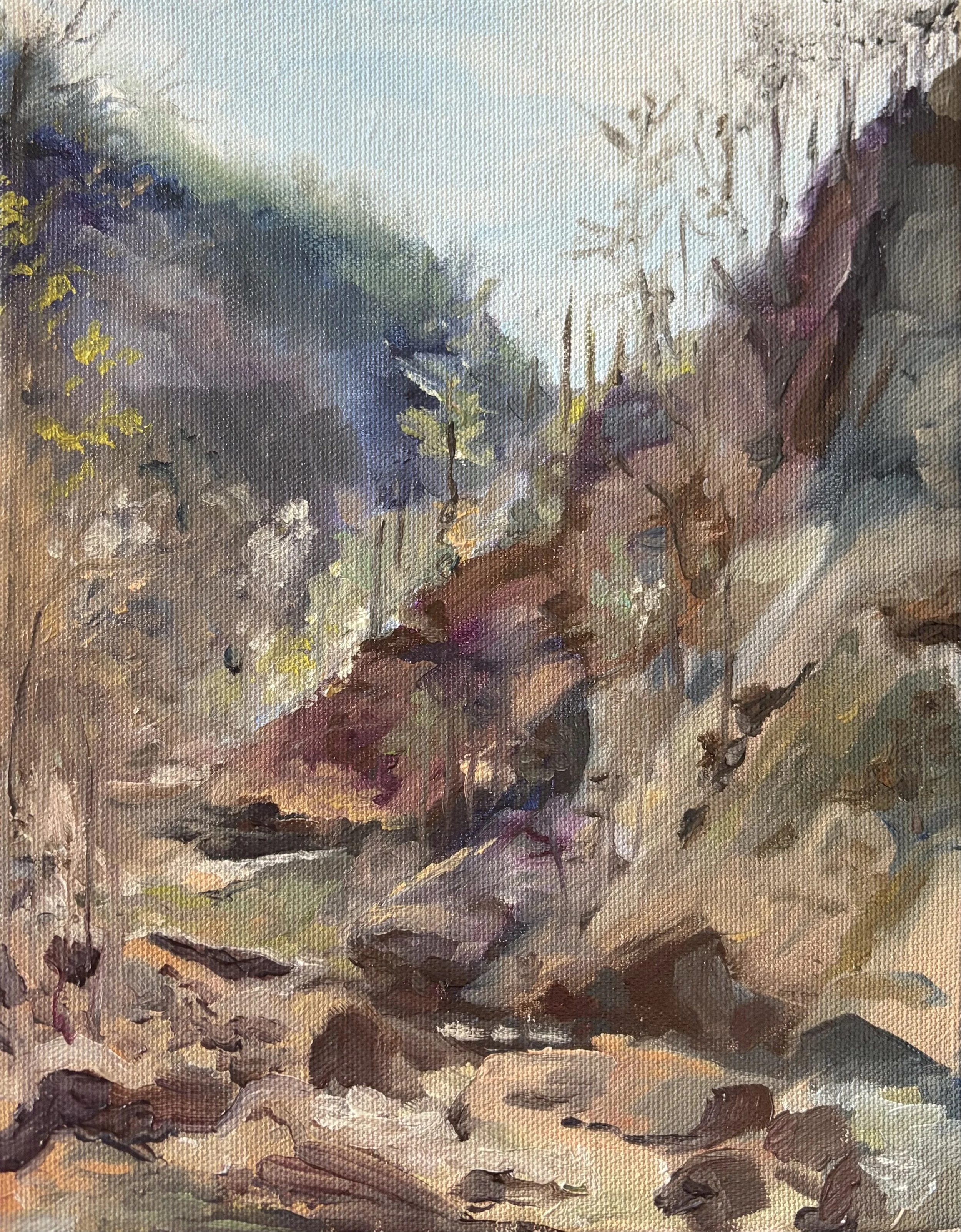 Tallullah Gorge, oil on canvas, 2026