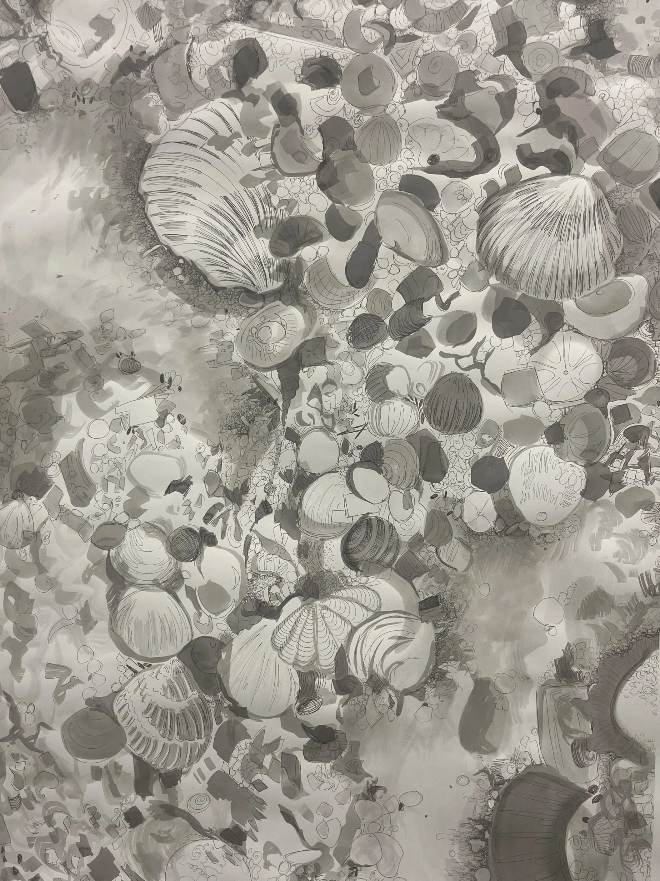 Shells, ink on paper, 2025