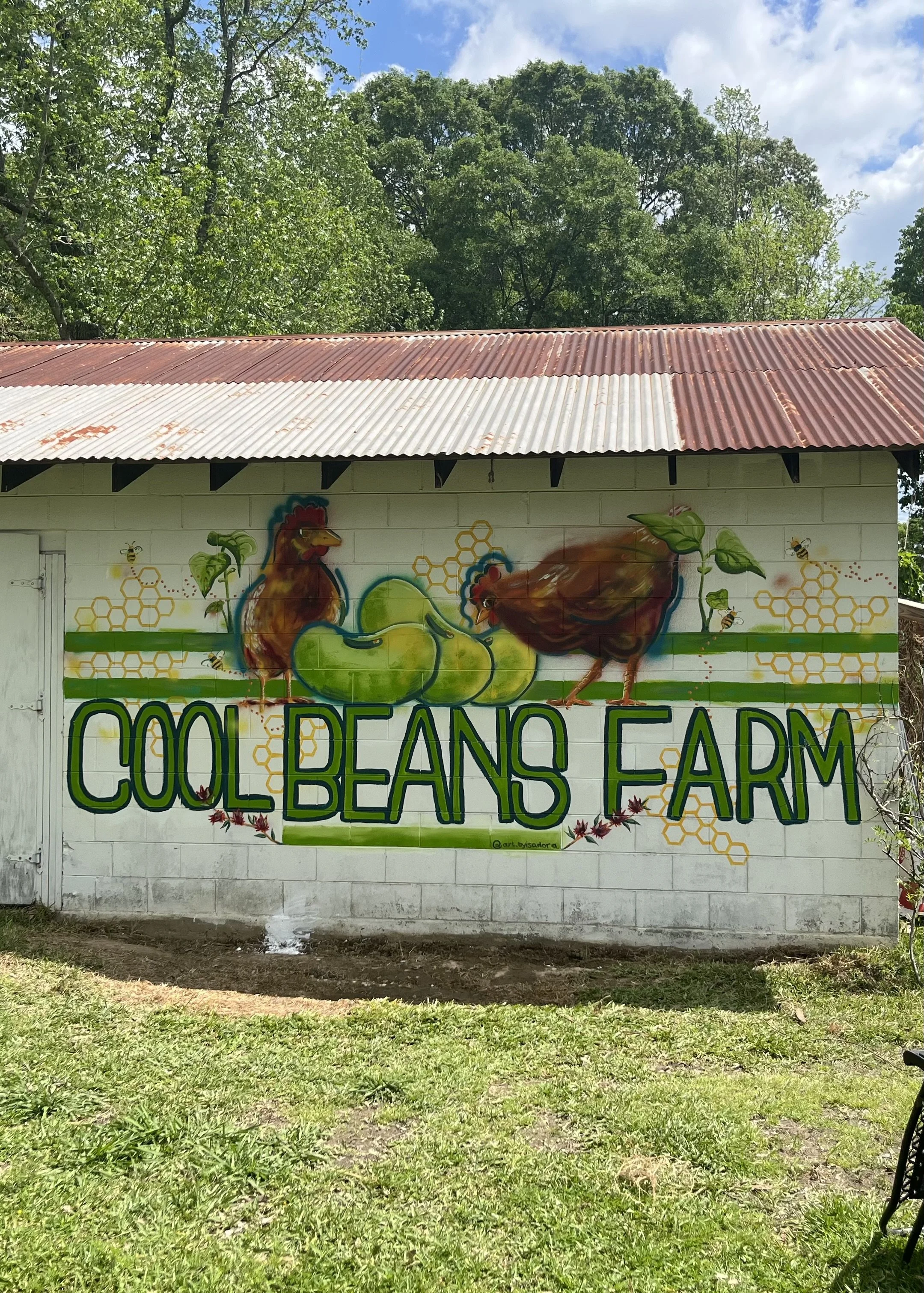 Cool Beans Farm, 2024, Slaughter LA