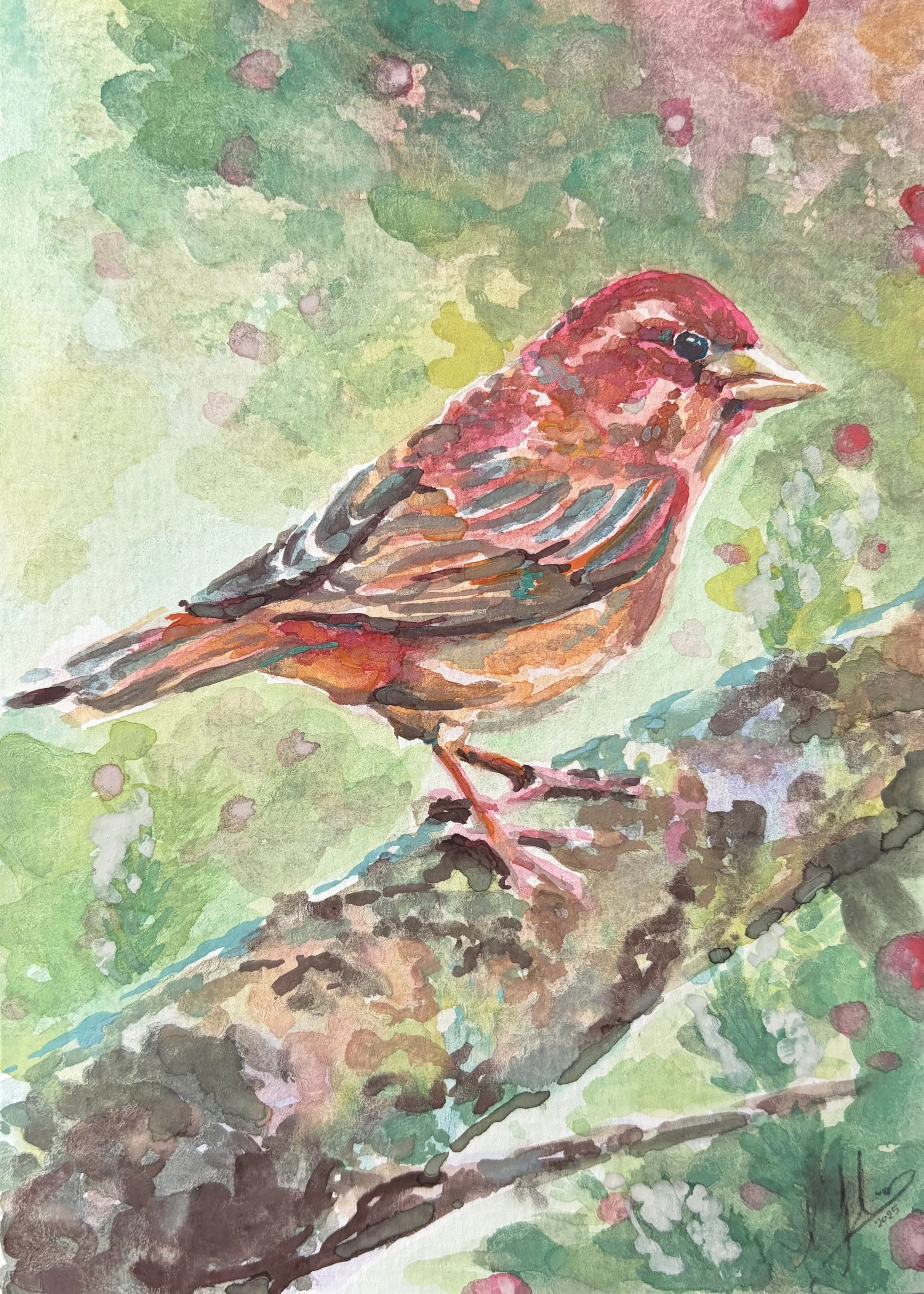 Christmas Bird, watercolor on paper, 2025