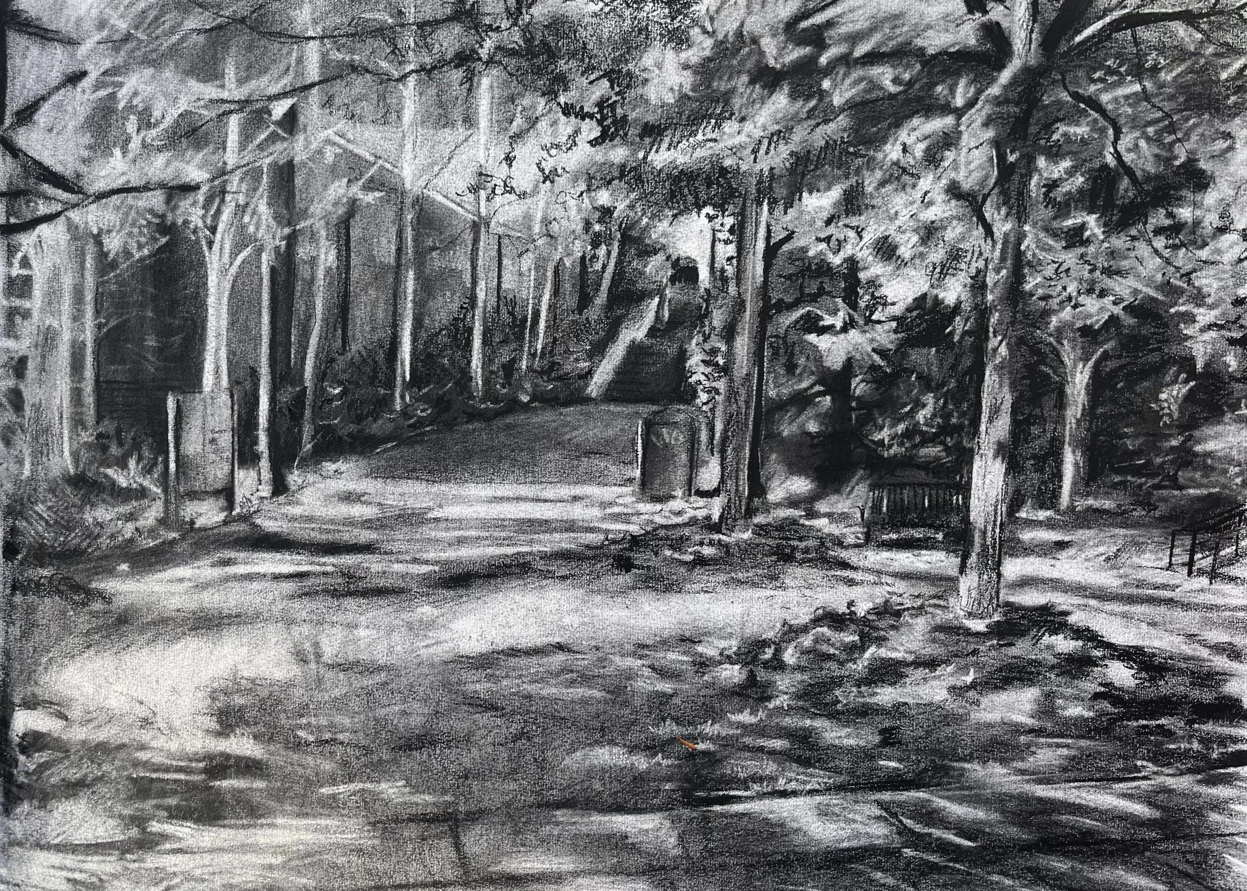 Arts Quad, charcoal on paper, 2024