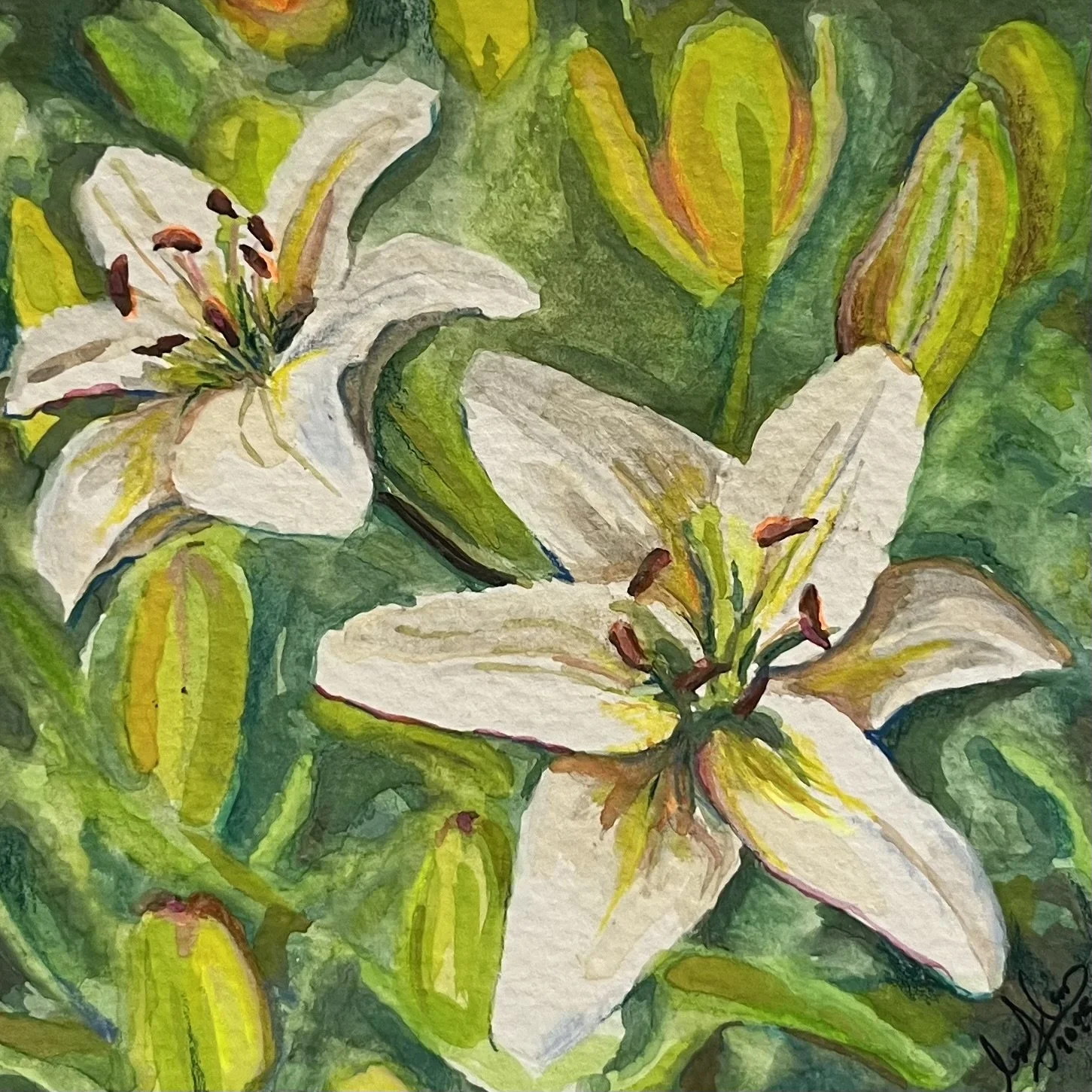 Lilies, watercolor on paper, 2025