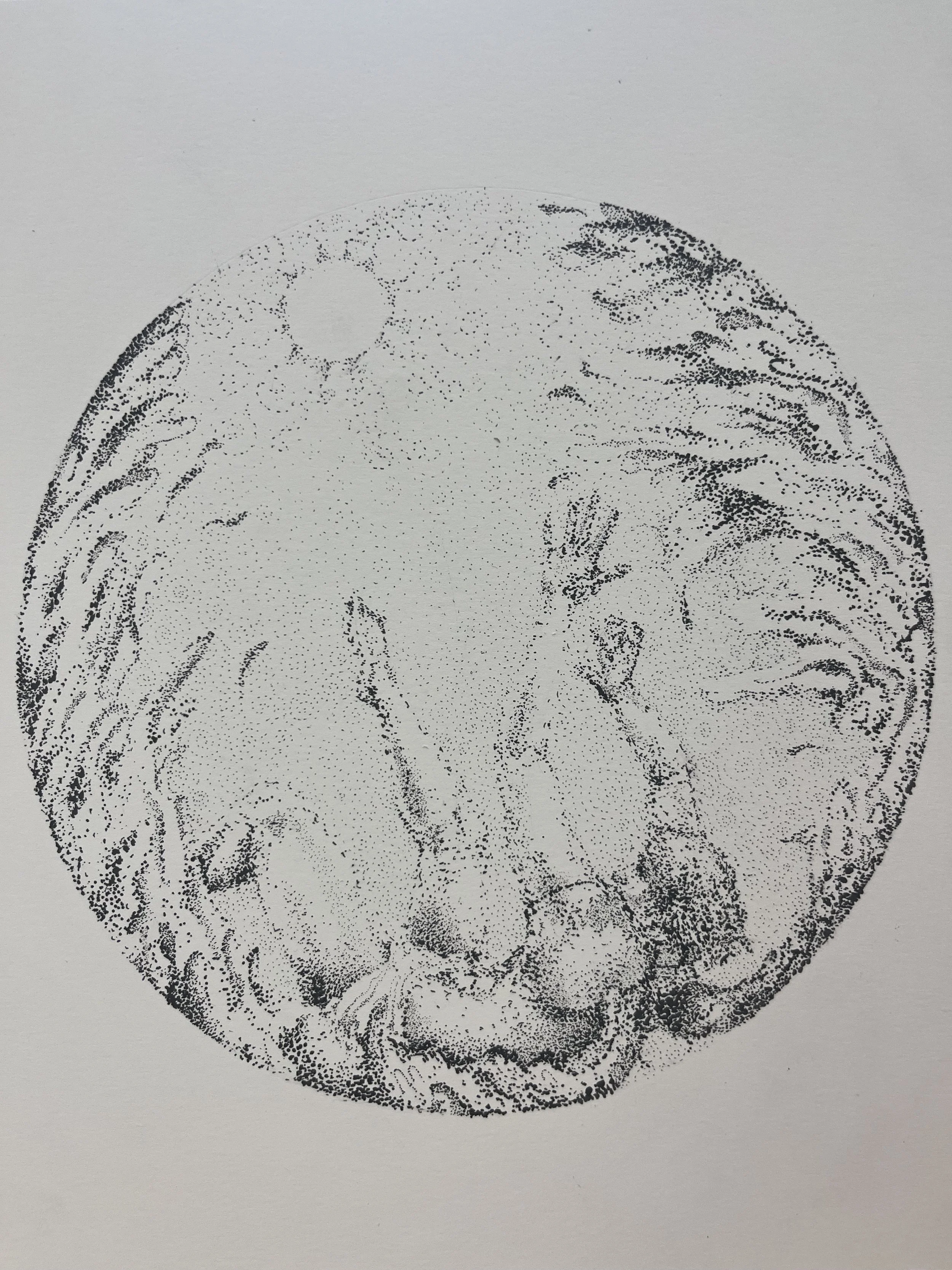 Icarus, ink on paper, 2024