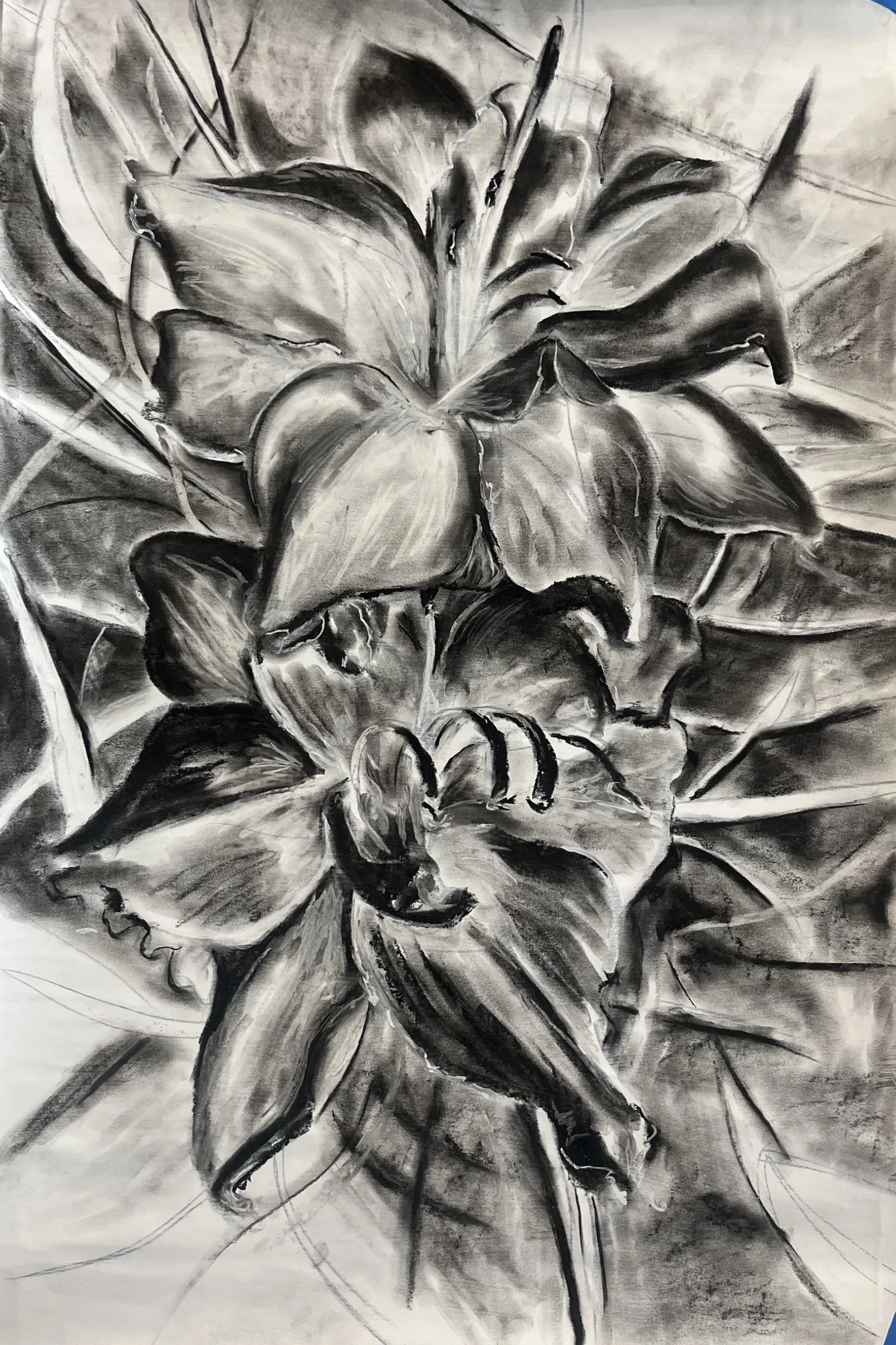 Pentimenti Lilies, charcoal, gesso and ink on paper, 2025