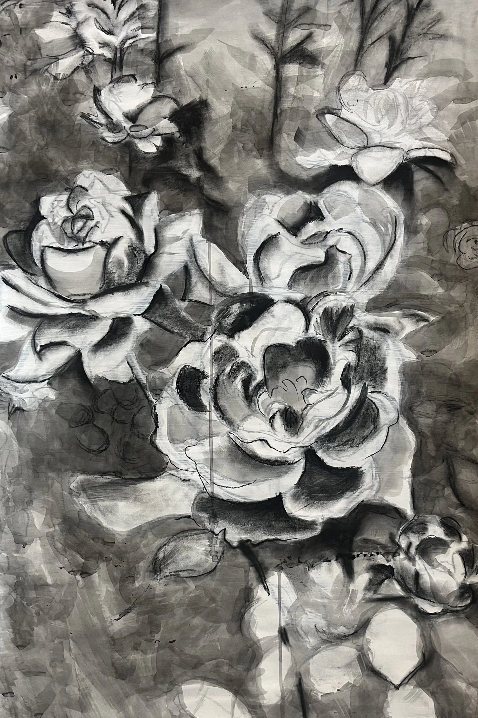 Pentimenti Roses, charcoal, gesso and ink on paper, 2025