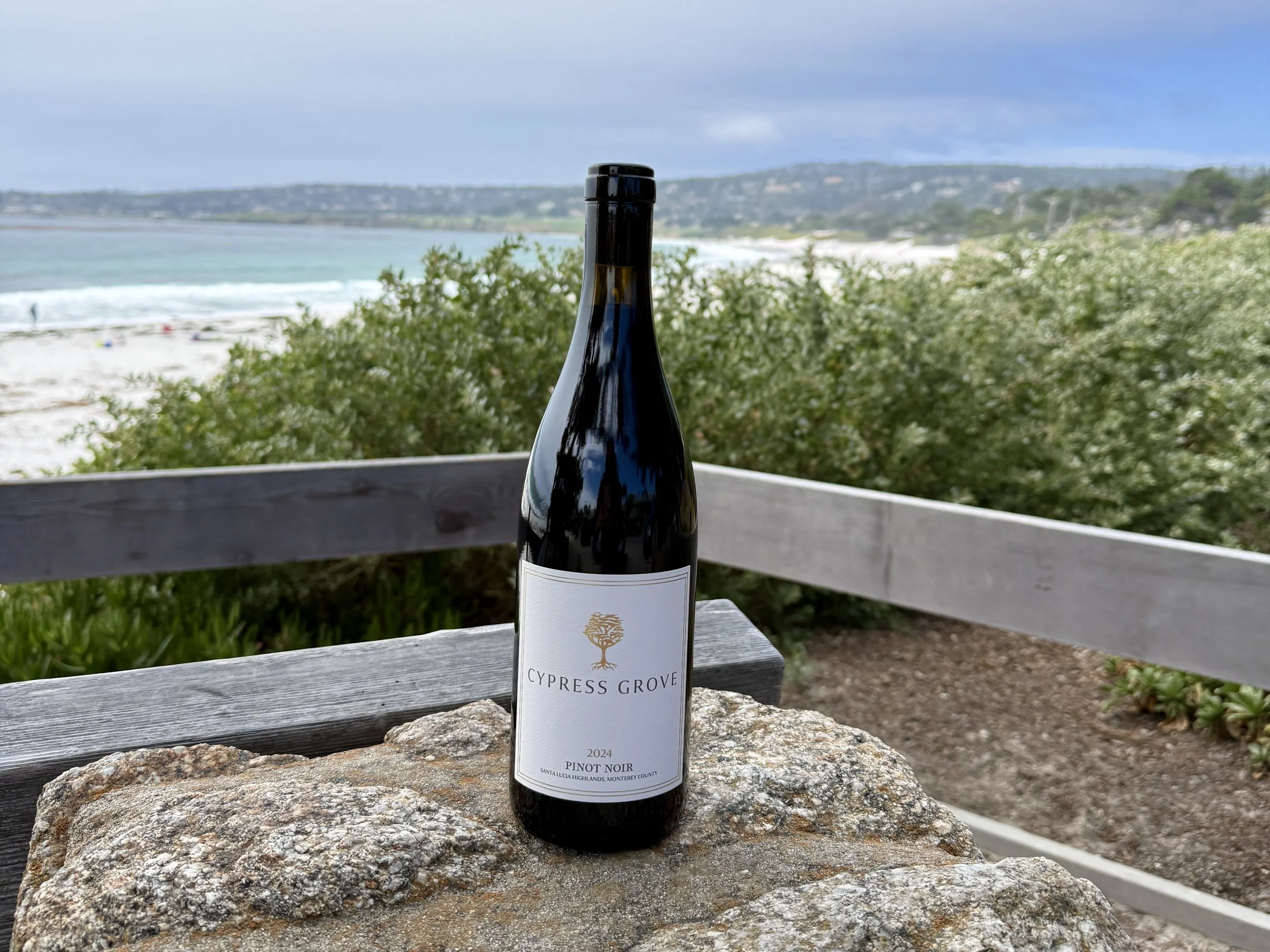 Summer in Carmel-by-the-Sea: The Perfect Day of Wine, Beach &amp; Coastal Exploring