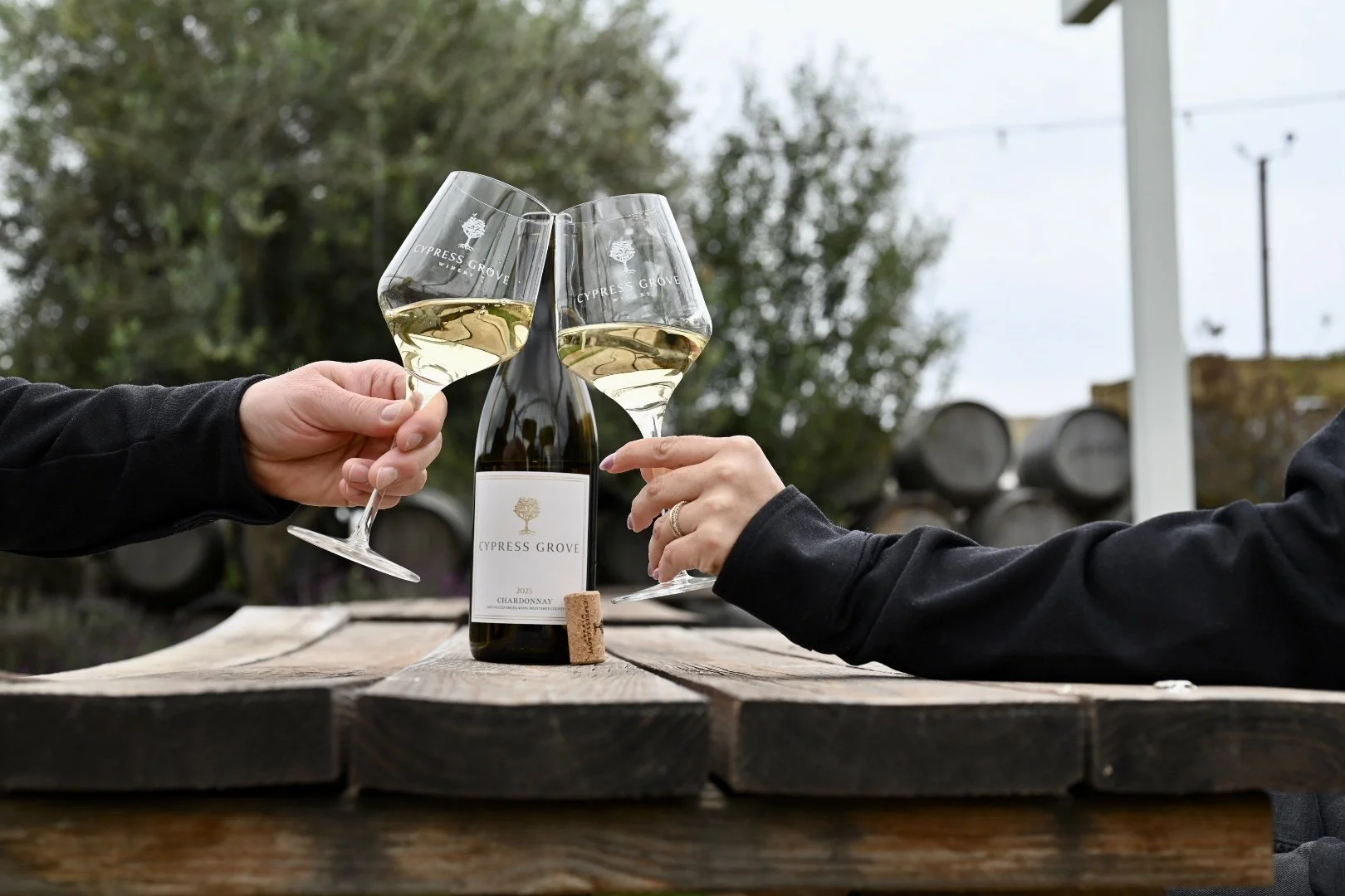 Carmel-by-the-Sea Wine Tasting for Beginners: Everything You Need to Know
