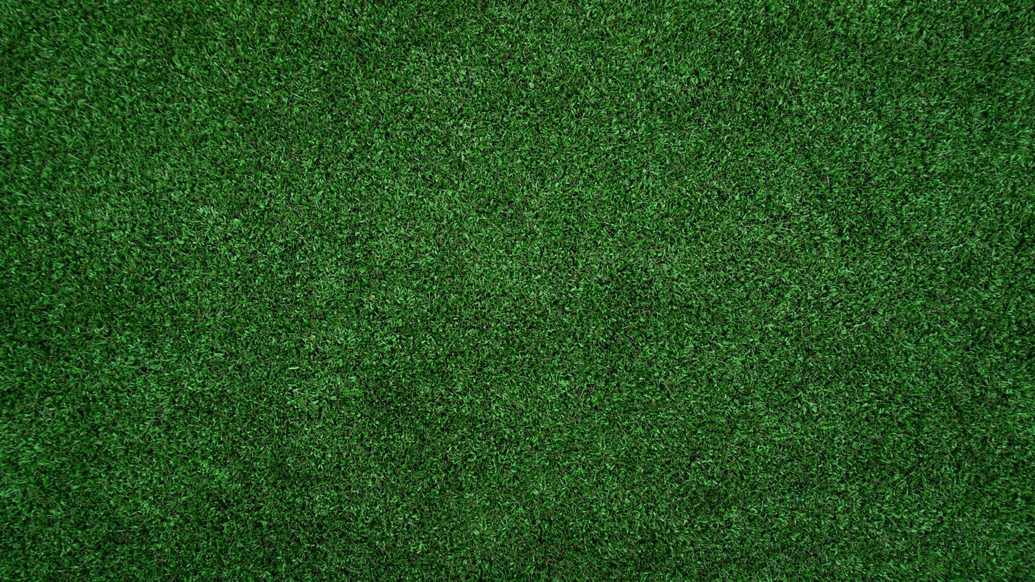 Littleton Indoor Golf - Photo 4