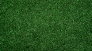 Littleton Indoor Golf - Photo 3