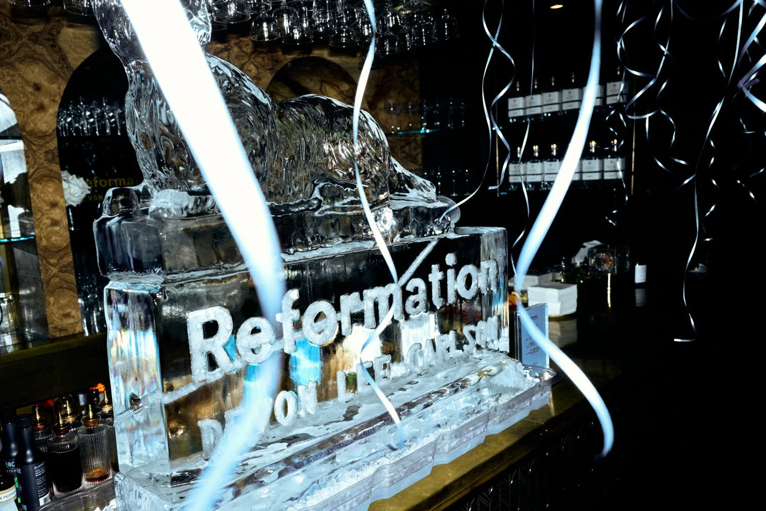Reformation x Devon Lee Carlson.jpg