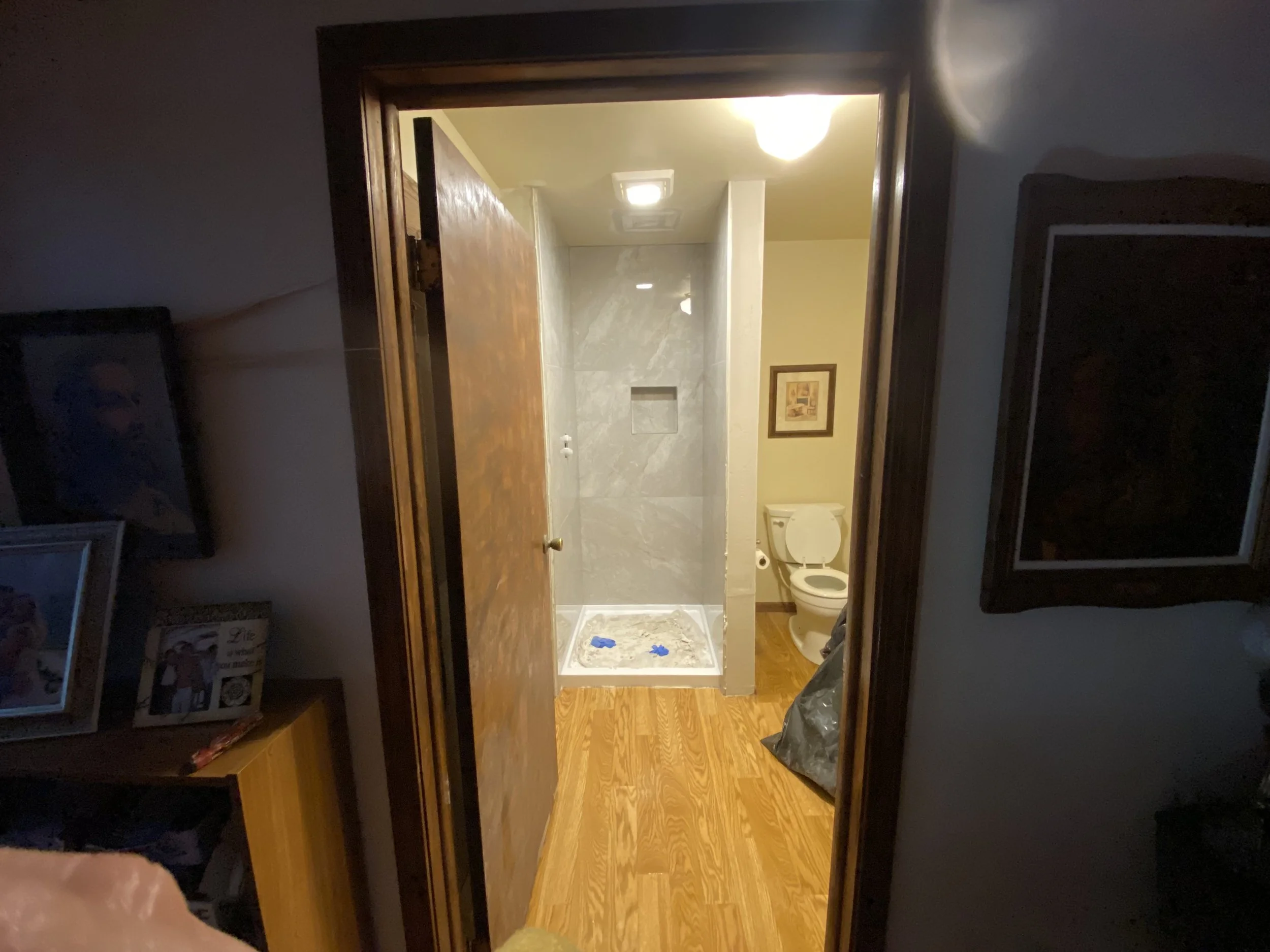 View into a bathroom from a doorway, showing a toilet, a framed picture on the wall, and a shower with a tiled wall and a soap dish, illuminated by ceiling lights, with wooden flooring outside the bathroom.