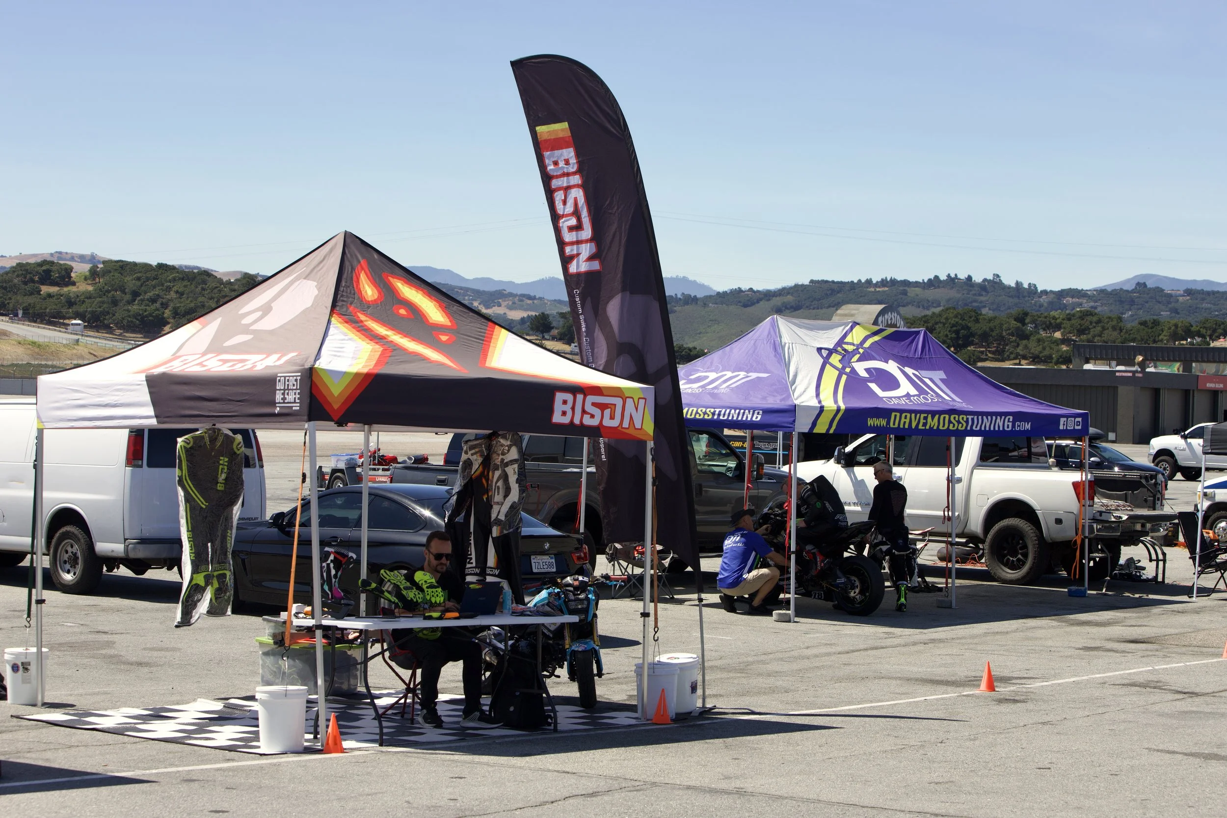 Bison Dave Moss Laguna.jpeg