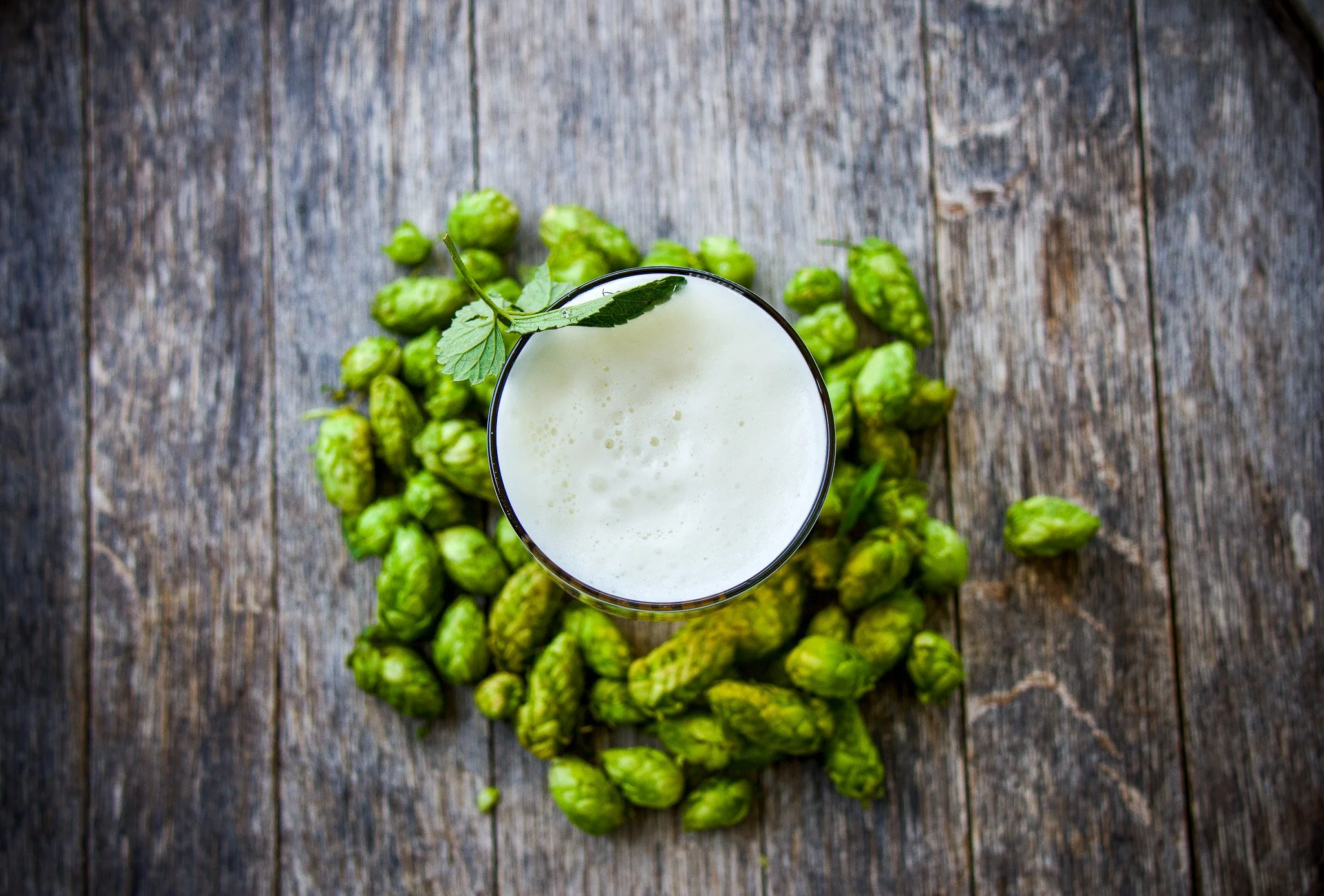 Stoup Brewing - Fresh Hop Season