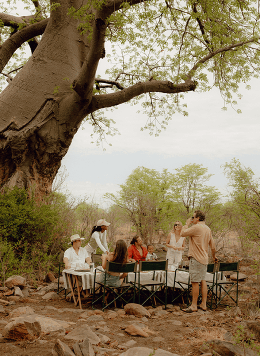 People having a meal outdoors under a large tree in a natural setting.