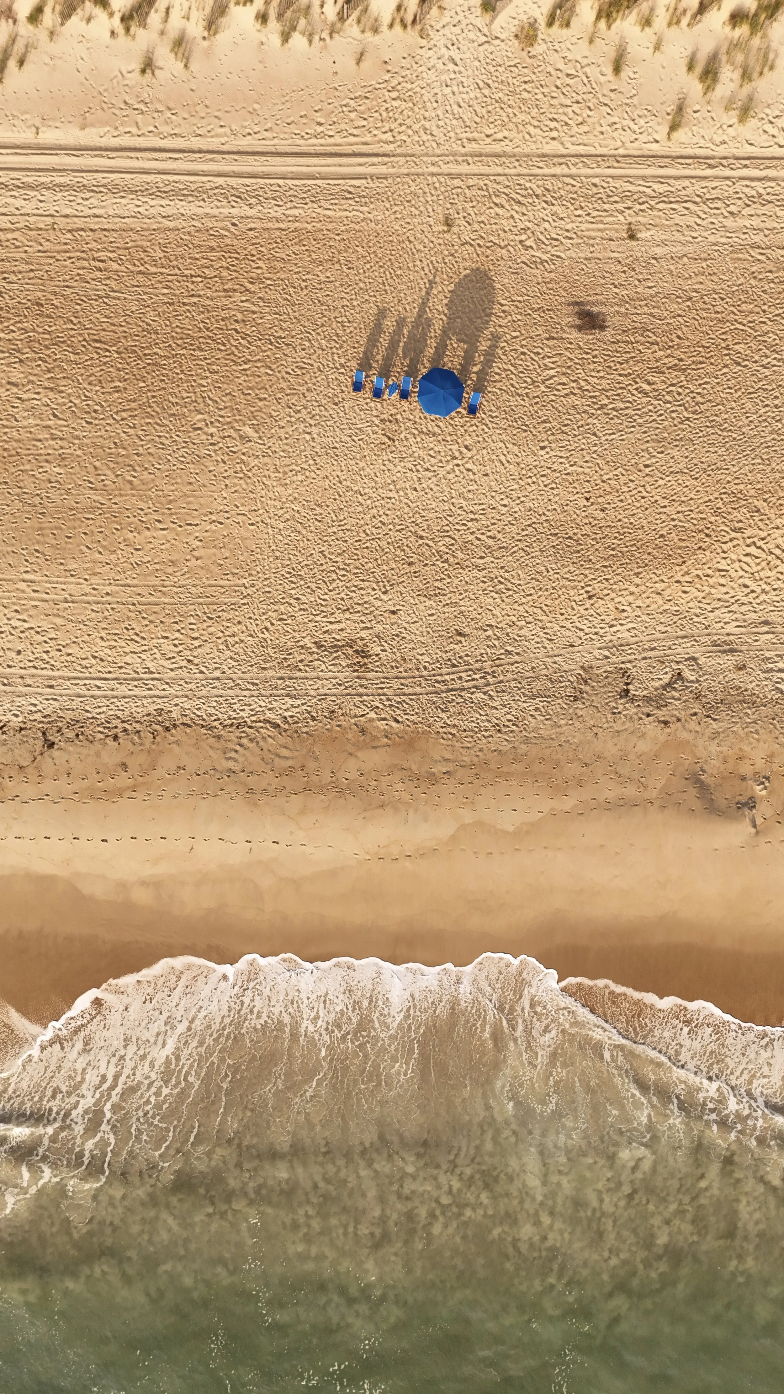 dji_fly_20240816_074836_0252_1723846165514_photo.jpeg