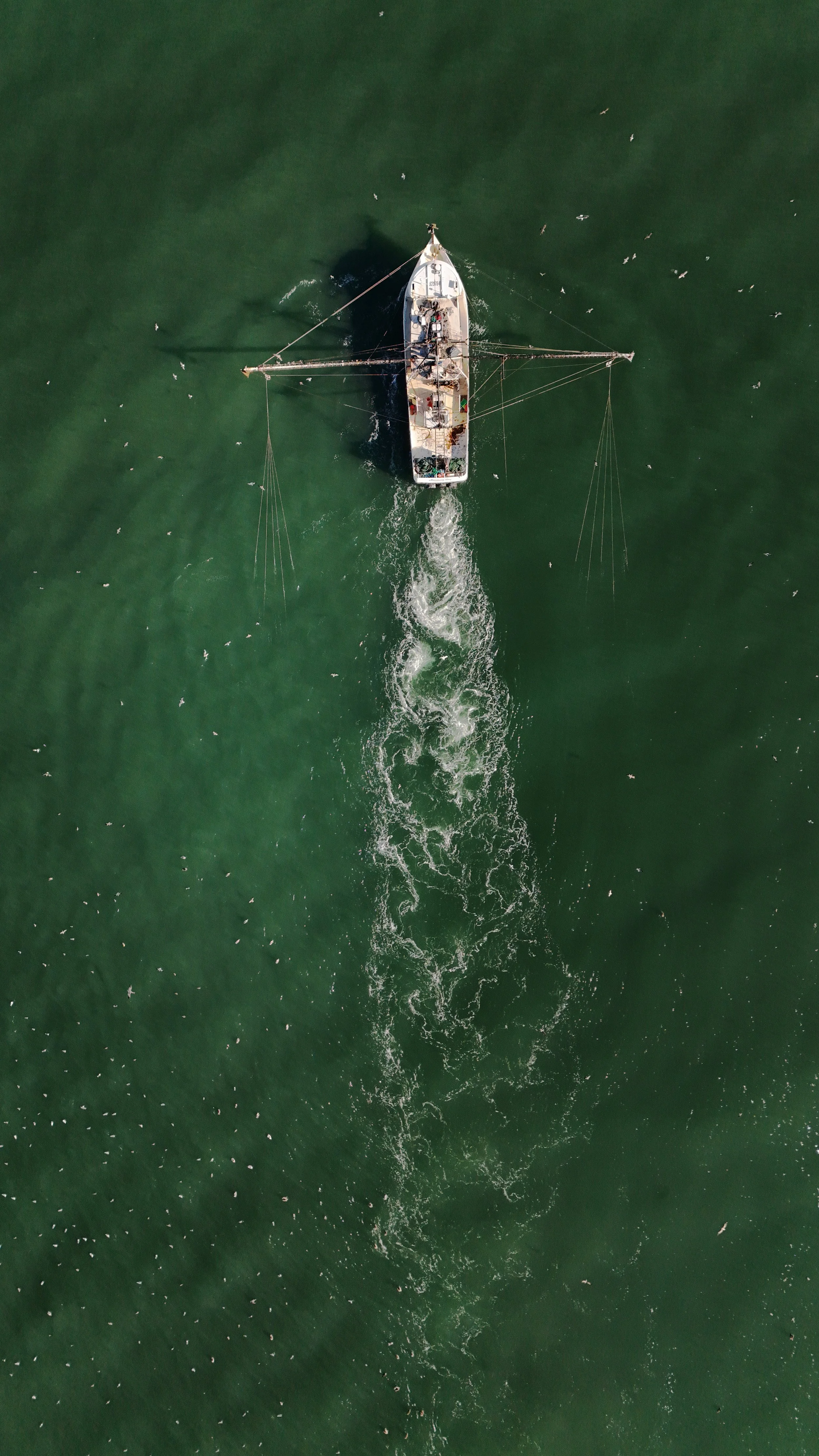 dji_fly_20241124_101146_0469_1732659793022_photo.jpeg
