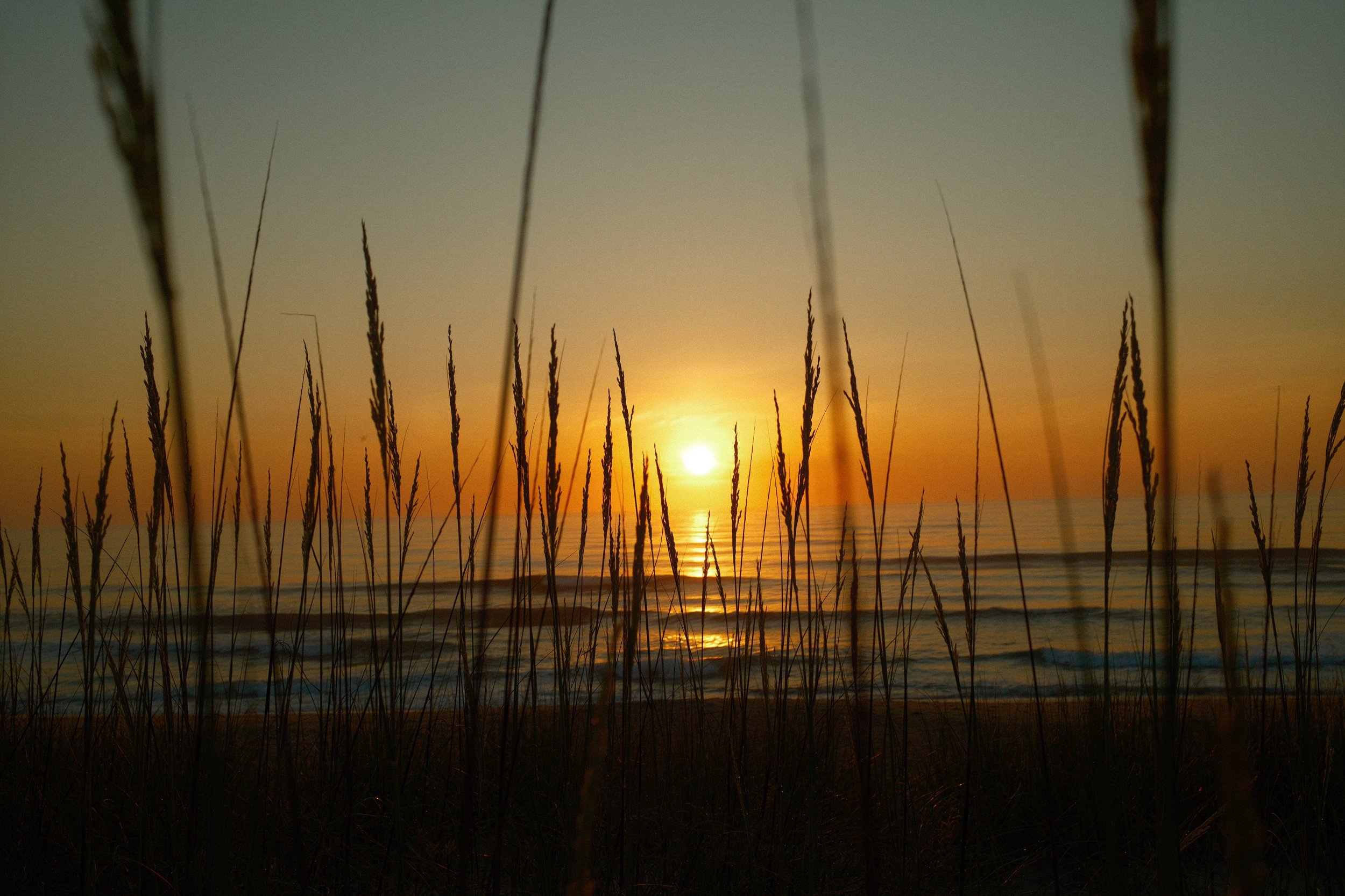 DSCF7305.JPG