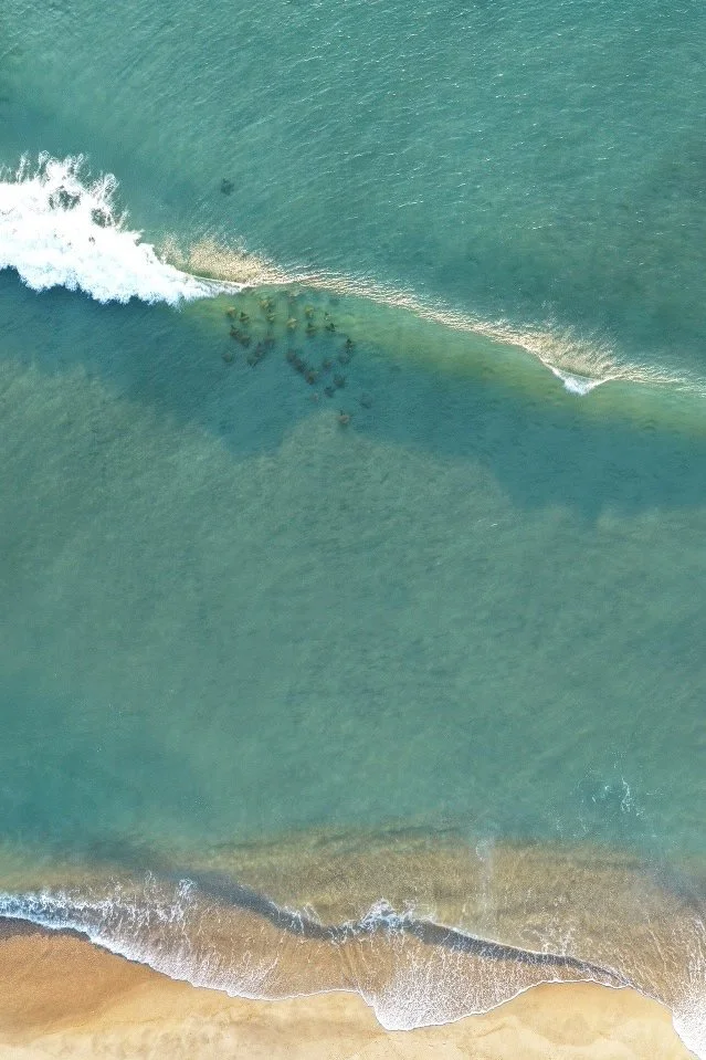 dji_fly_20260615_062850_0168_1781522001747_photo.jpeg