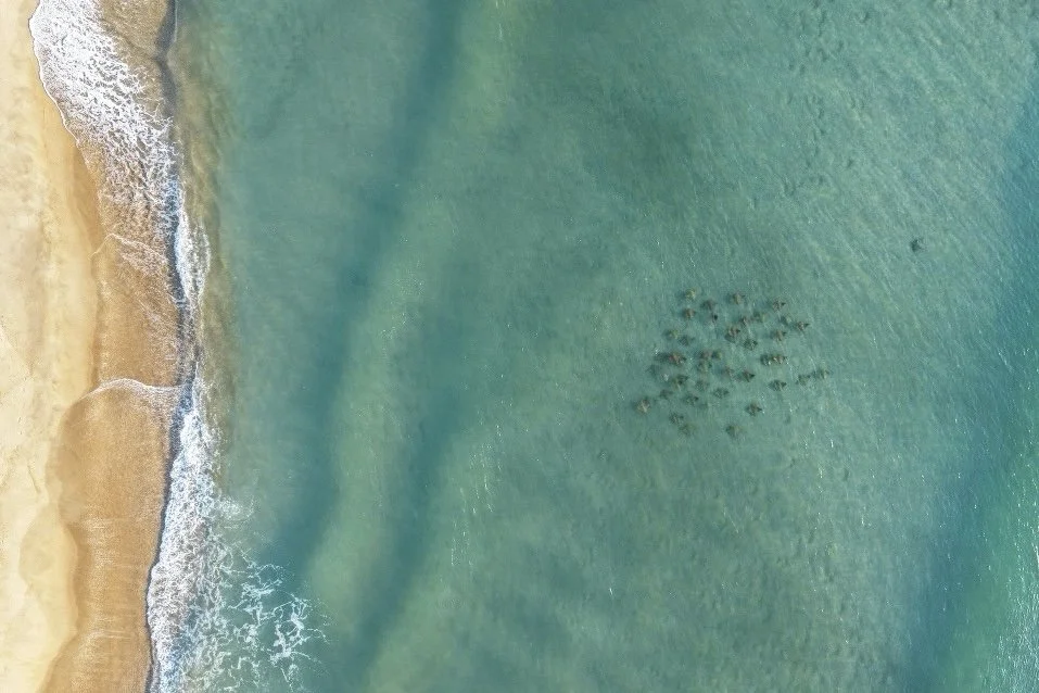 dji_fly_20260615_062844_0166_1781522012274_photo.jpeg