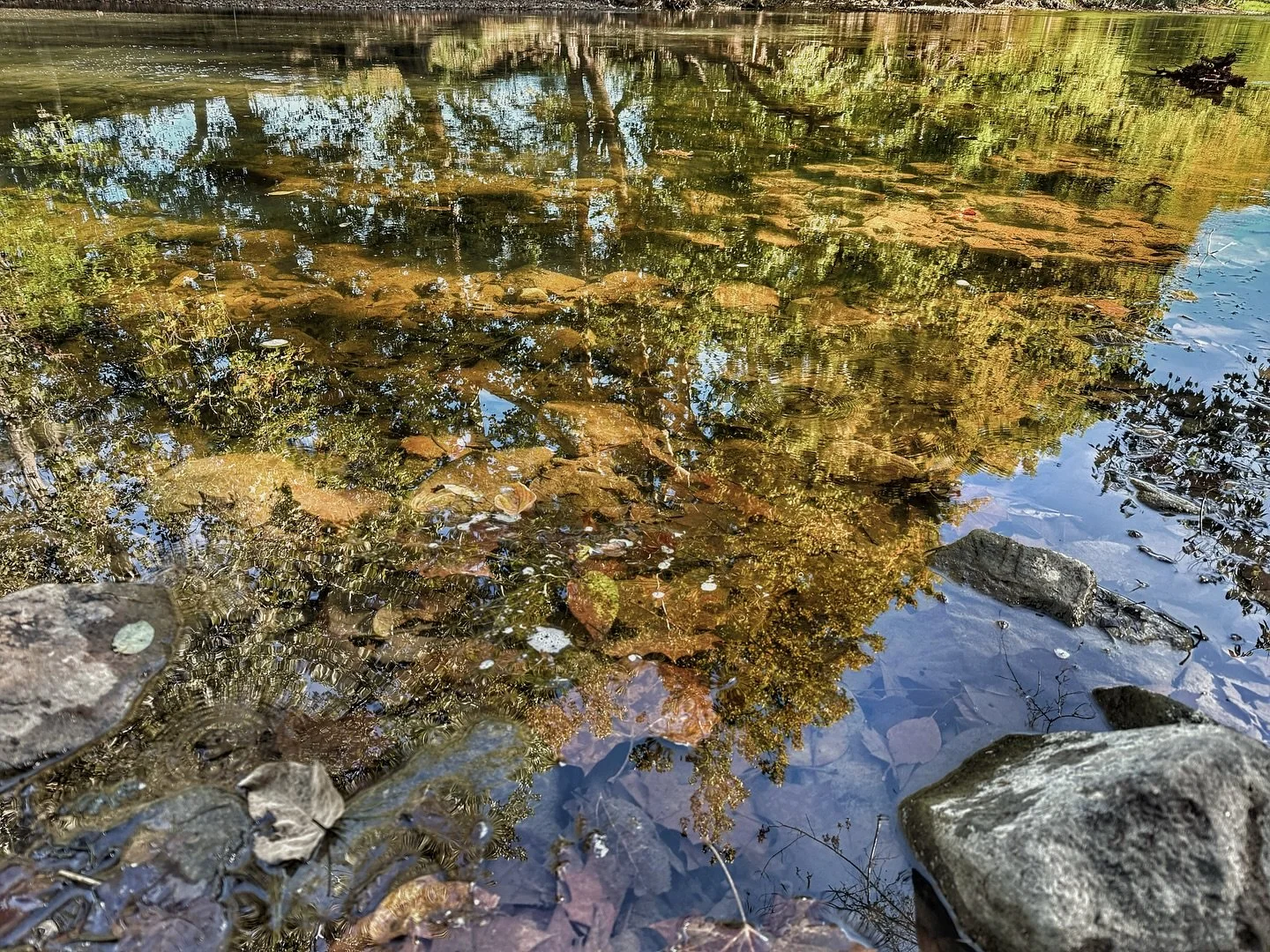 Crystal clear. Nice. Not the whole story.
Clearwater means low mud. That is it. The invisible stuff does not care about your Instagram content. E. coli ,viruses, PFAS, nitrates, and road salt ride along the river with no color and no smell. The rive