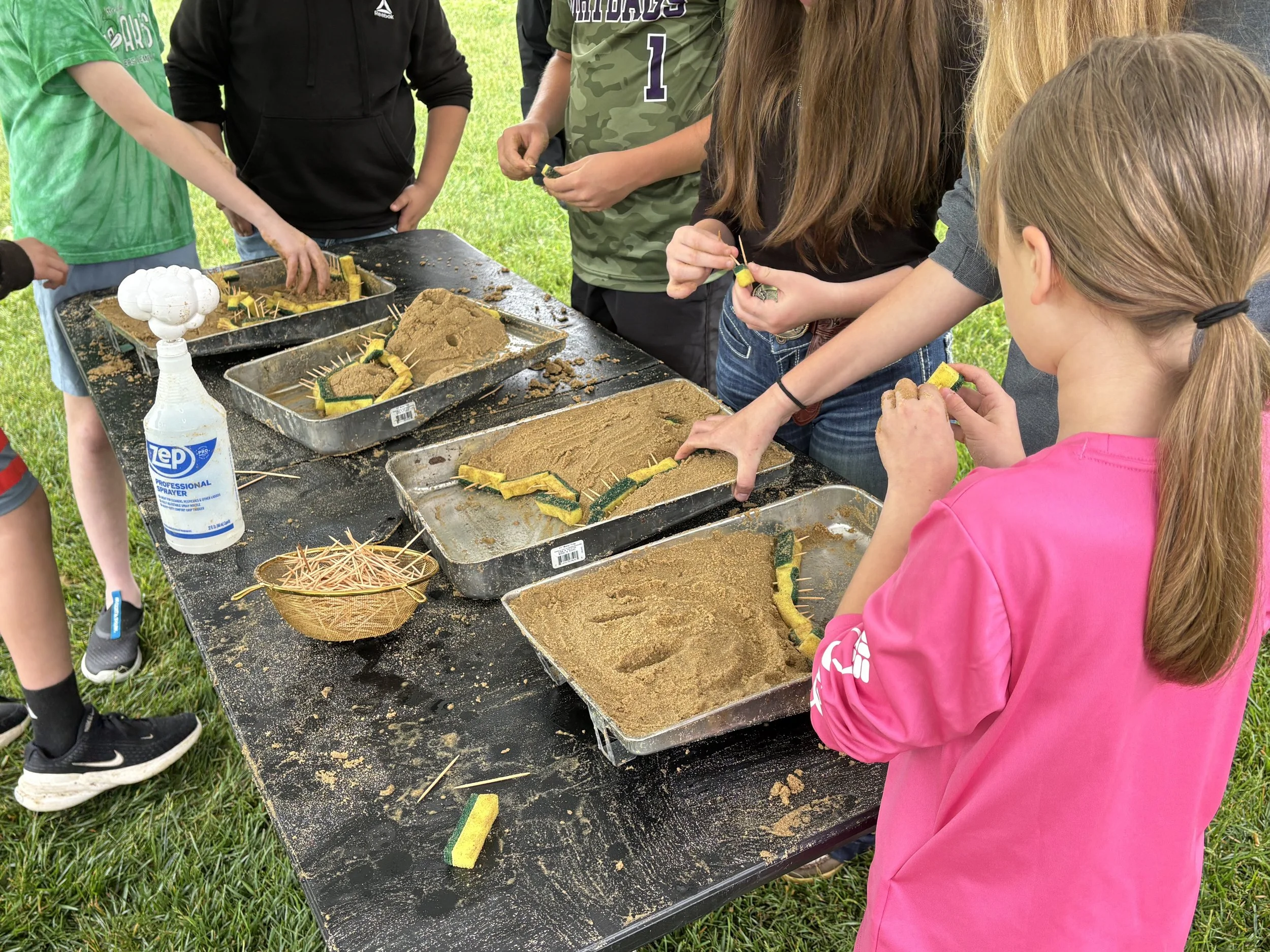 Riparian Buffer Models (1st - 8th grade): 

This is a fun, interactive way for students to learn about riparian buffers, erosion, and stormwater runoff. Students will build their own landscapes out of sand and observe what happens to the sediment whe