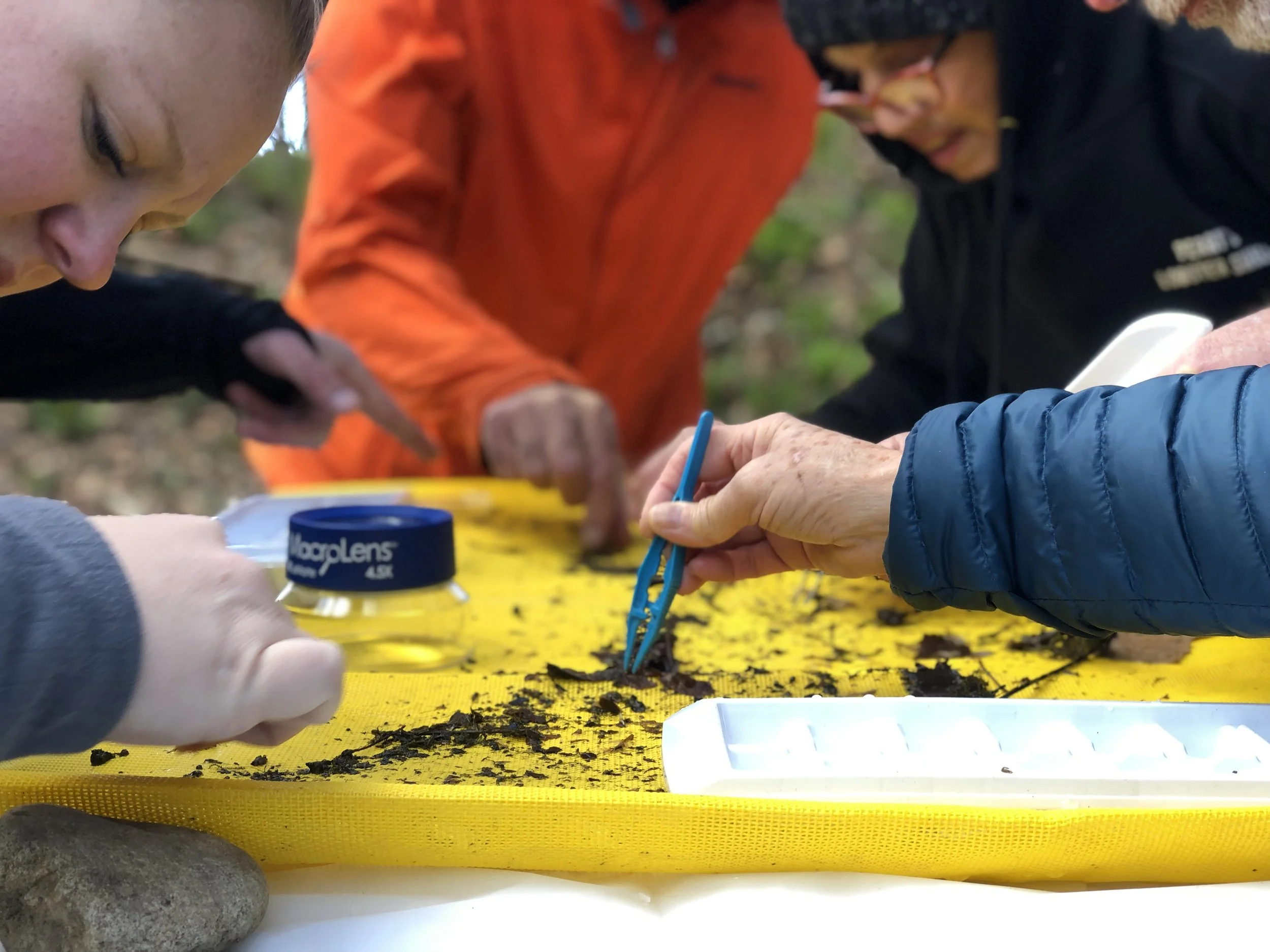 
Benthic Macroinvertebrates (all ages):

This hands-on activity introduces students to benthic macroinvertebrate monitoring, an easy way to evaluate stream health . After an introduction to water pollution and benthic macroinvertebrate sensitivity le