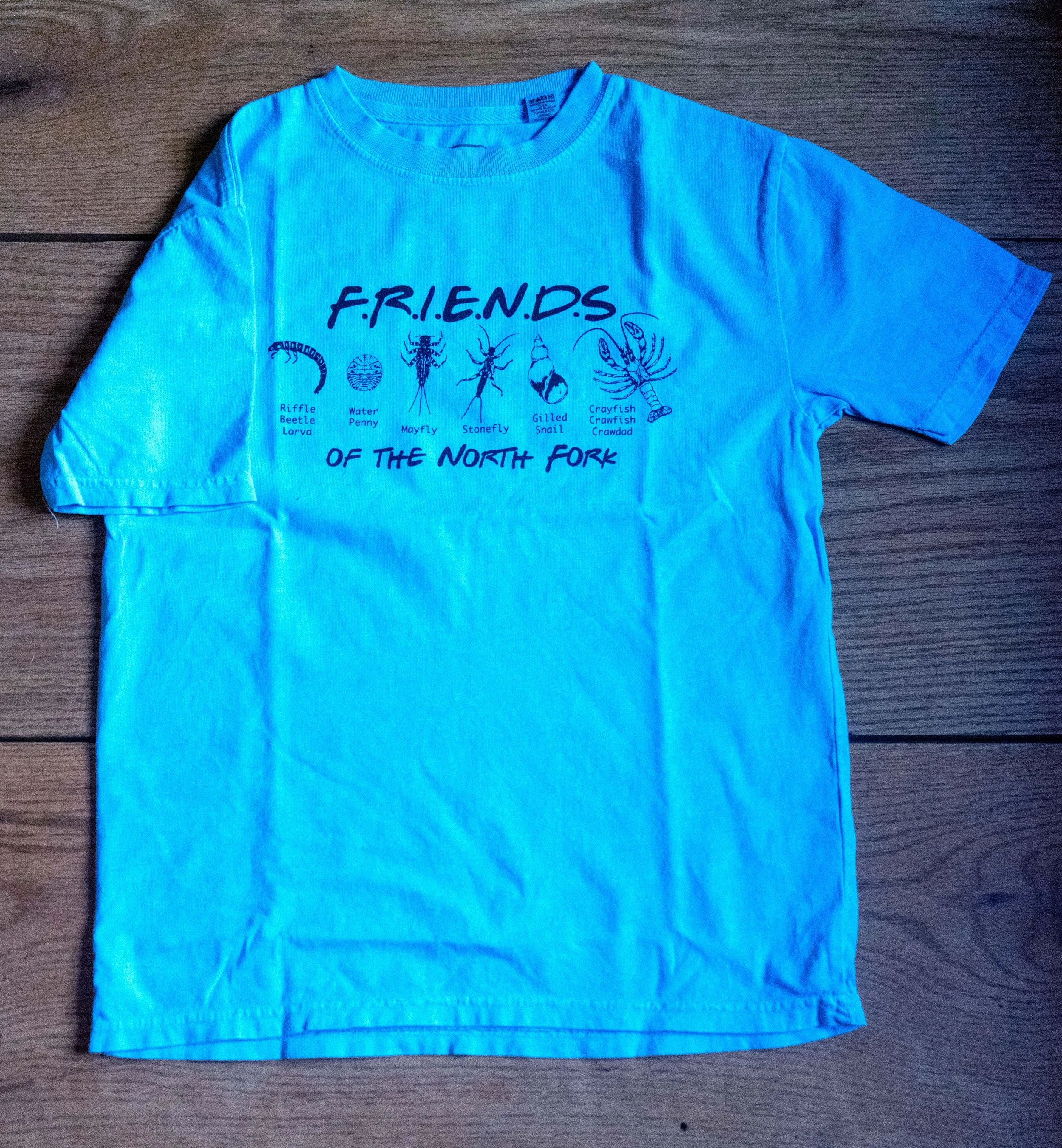 F.R.I.E.N.D.S. T-shirt