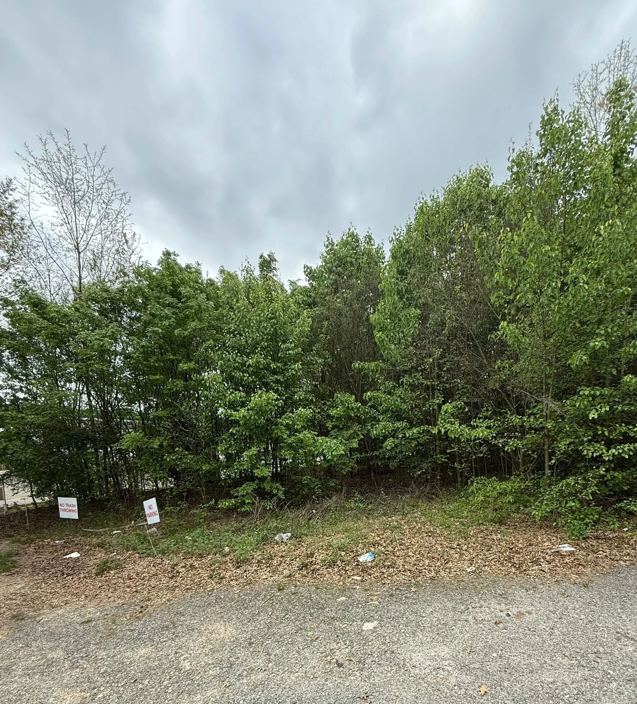 A line of bushes and trees with lush green leaves along a gravel pathway on a cloudy day.