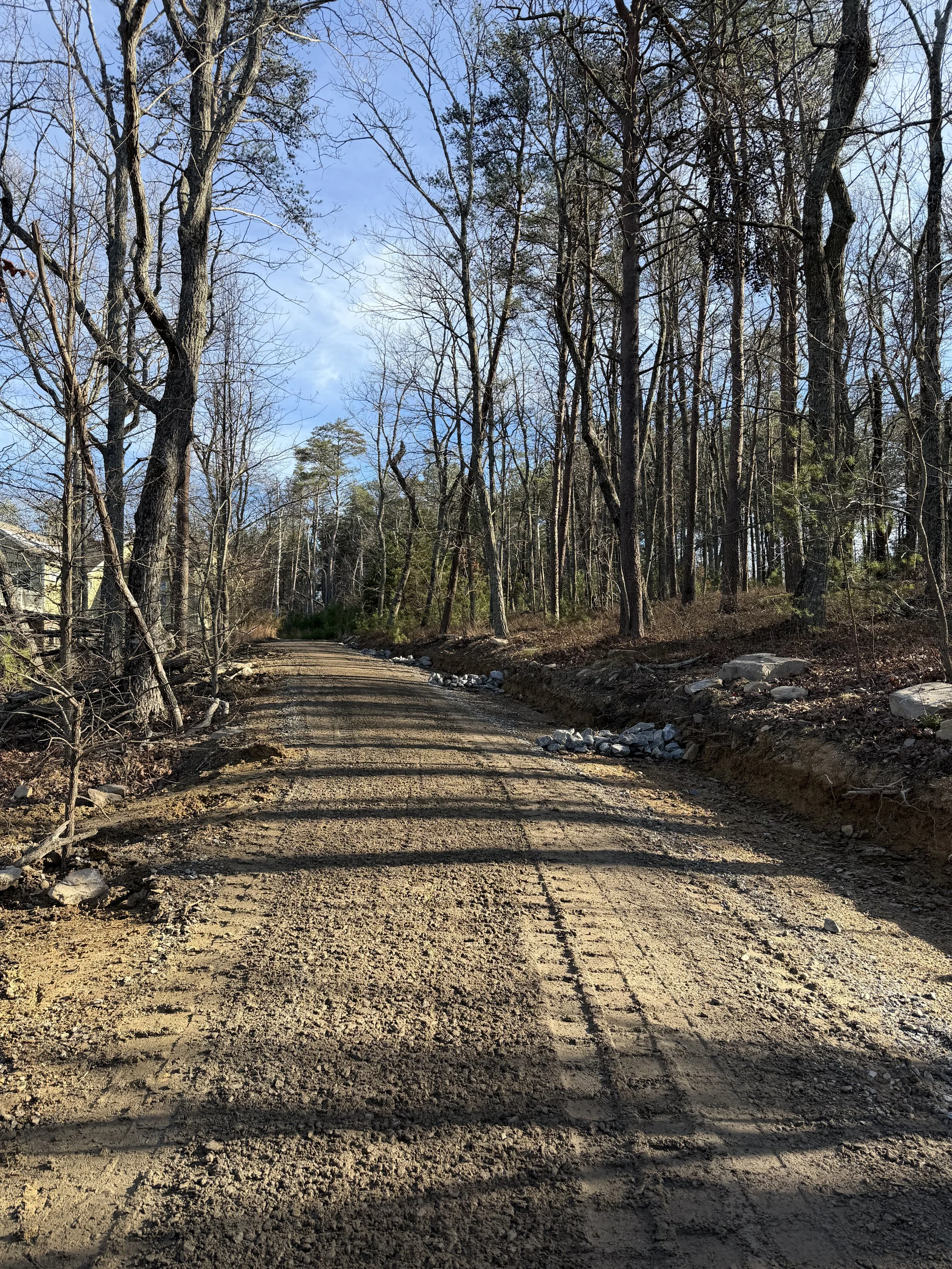 A dirt and gravel road winding through a wooded area with tall, leafless trees on either side and a partly cloudy sky overhead.