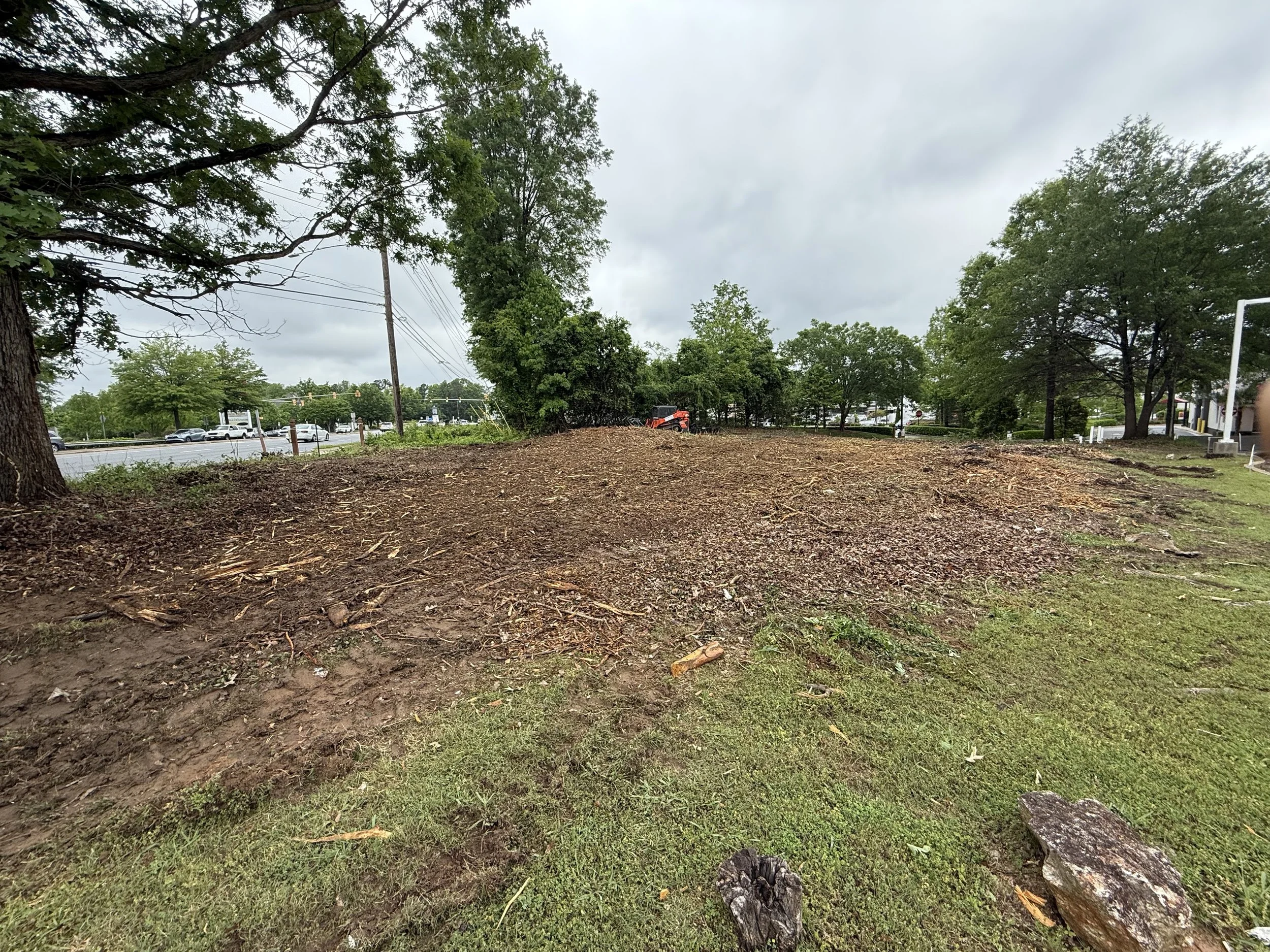 A patch of recently cleared land with brown soil and some small grass patches, surrounded by trees and near a road with cars.
