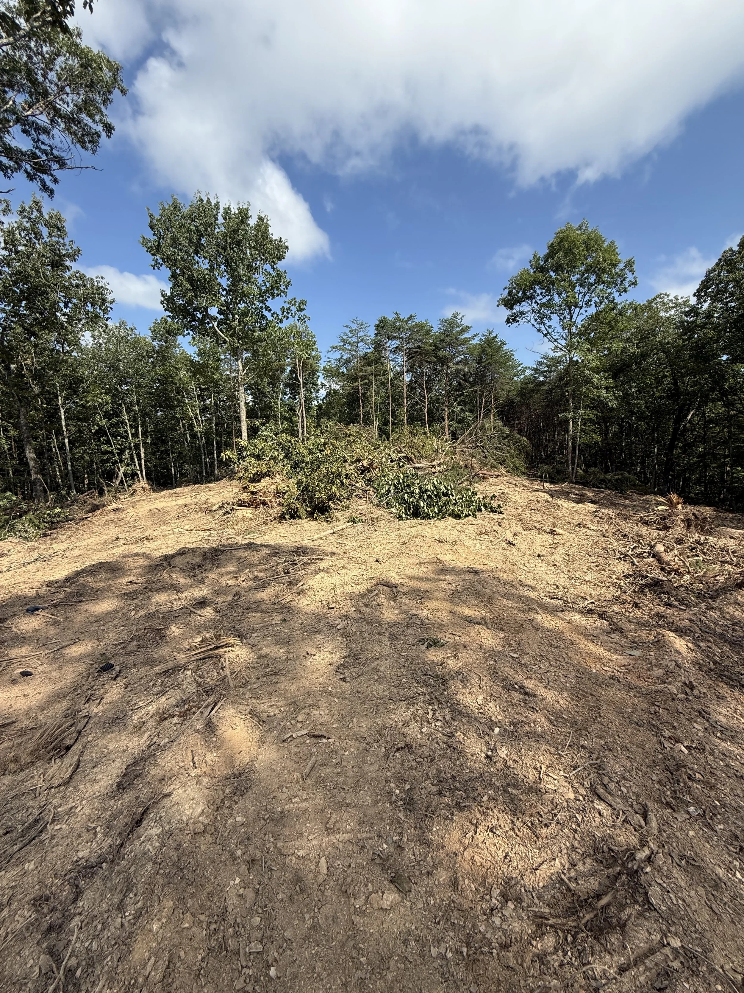 A cleared area of land with some fallen branches and trees, bordered by dense green trees under a partly cloudy blue sky.