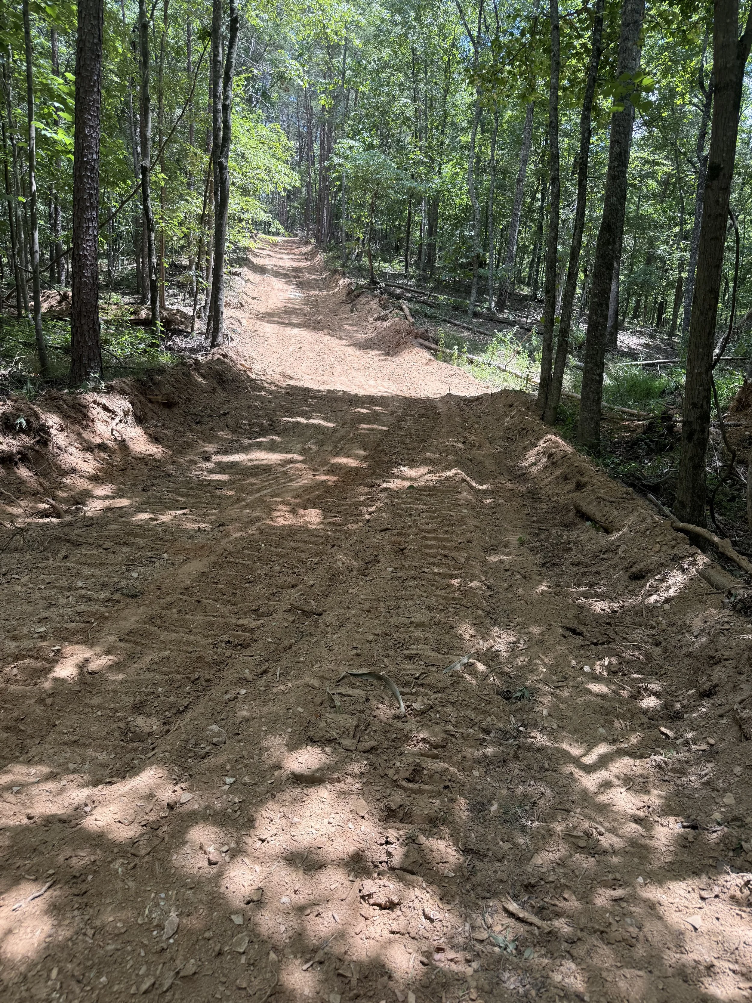 A dirt trail winding through a dense, green forest with tall trees and sunlight filtering through the leaves.