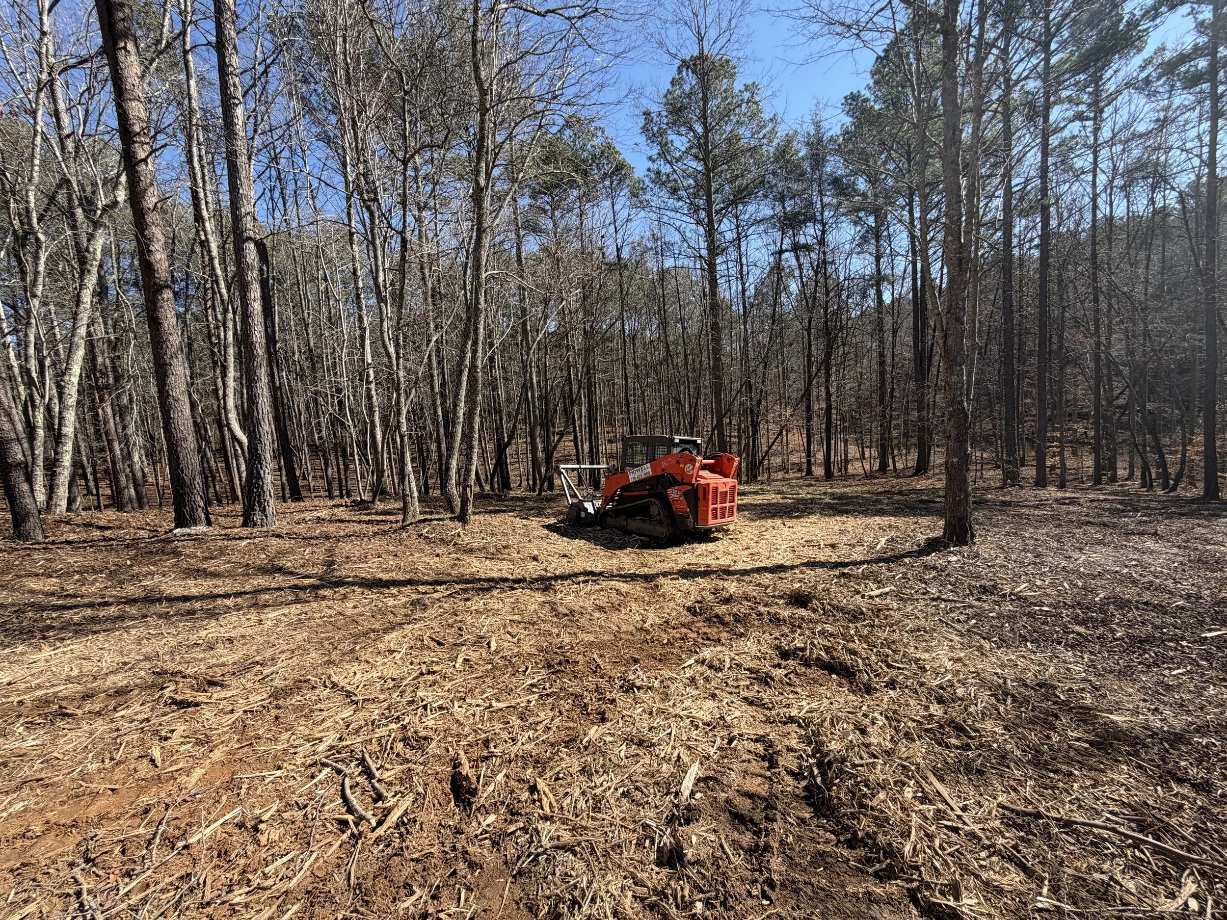 A red skid steer loader parked in a cleared area within a forest with many tall, leafless trees and a blue sky overhead.