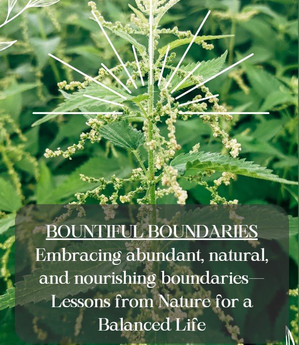 Bountiful Boundaries Workshop Cover.jpg