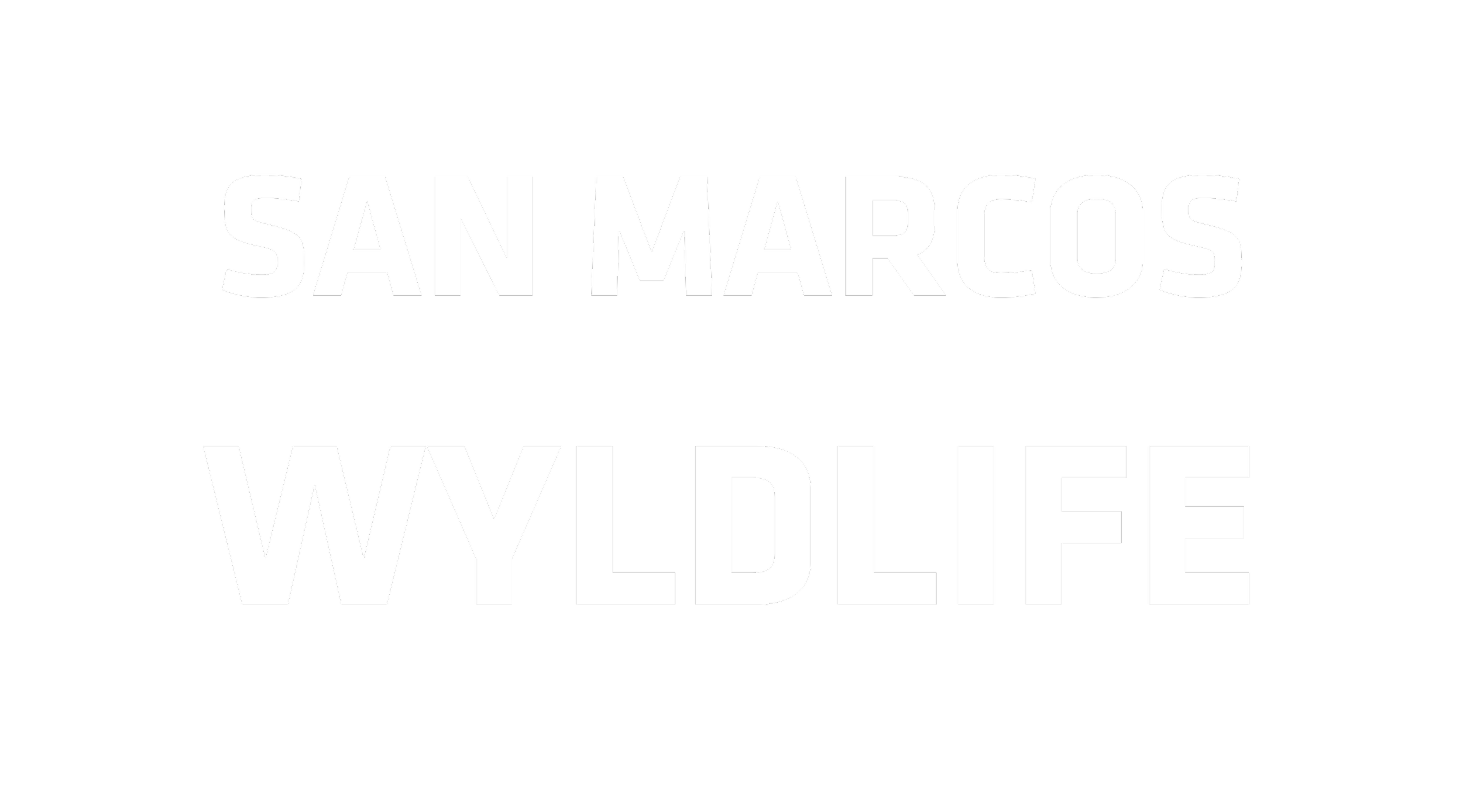 Black background with bold white text reading "San Marcos WildLife".
