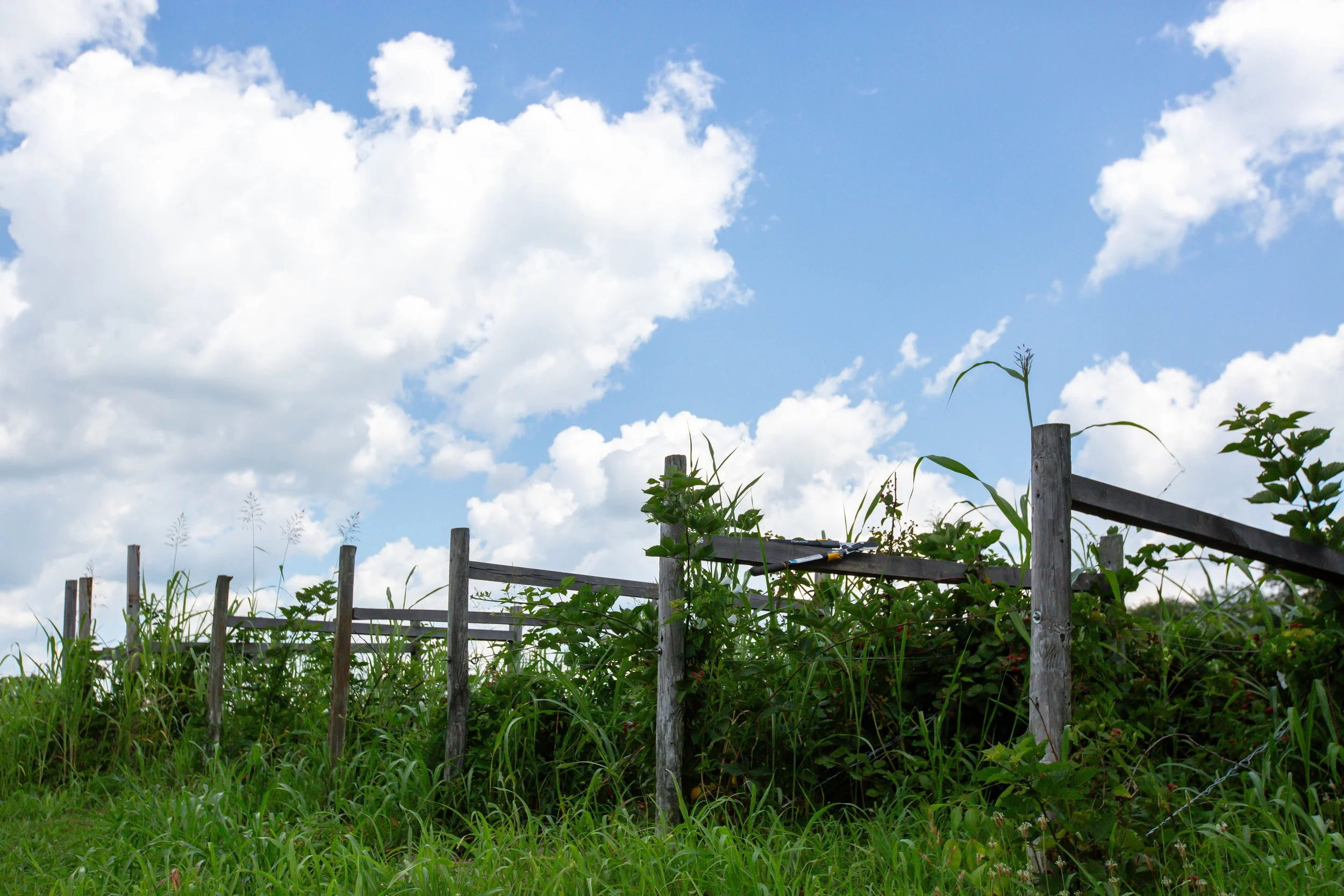 2025-owen-county-tour-88.jpg