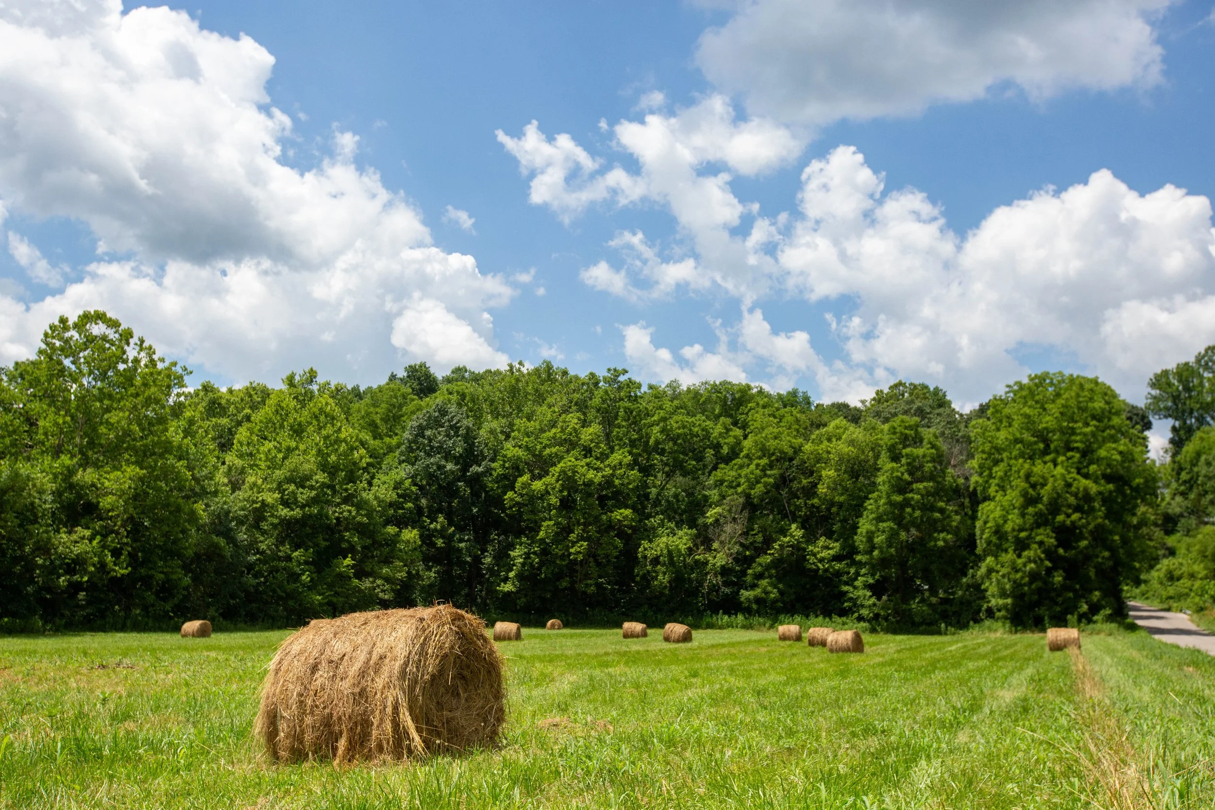 2025-owen-county-tour-80.jpg