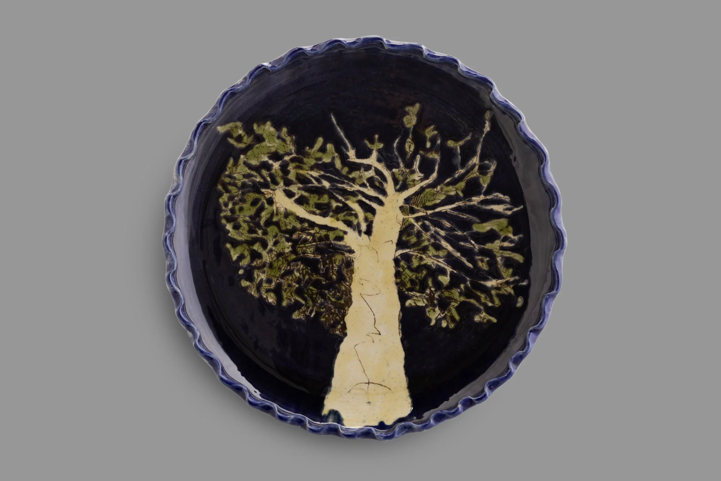 Broken Tree Dish, Caitlin Jenkins Copyright.jpg