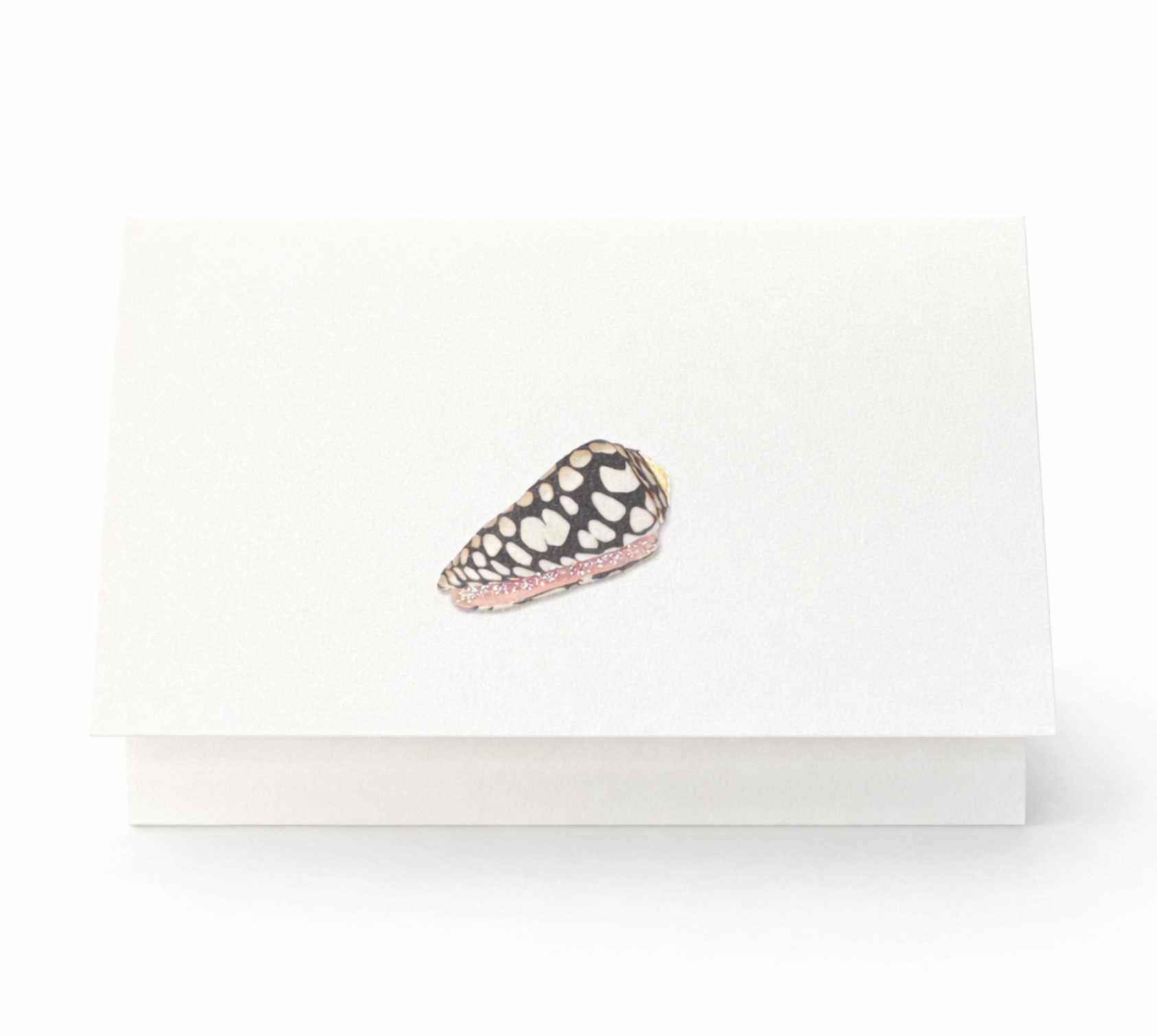 Folded black and cream spotted seashell notecard from Salt Water boxed card set