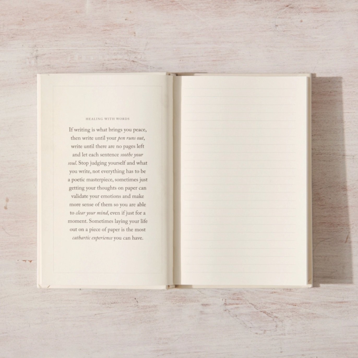 Write+In+These+Pages+Journal+2.jpg