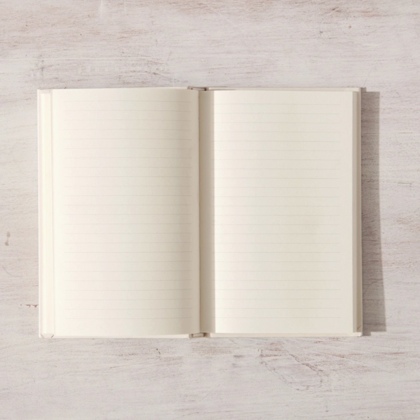 Write+In+These+Pages+Journal+4.jpg