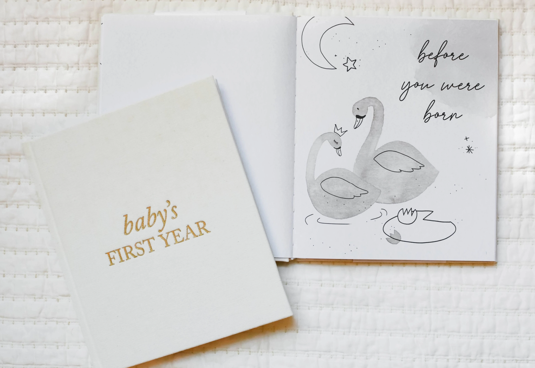 Baby's First Year Keepsake Journal 9.png