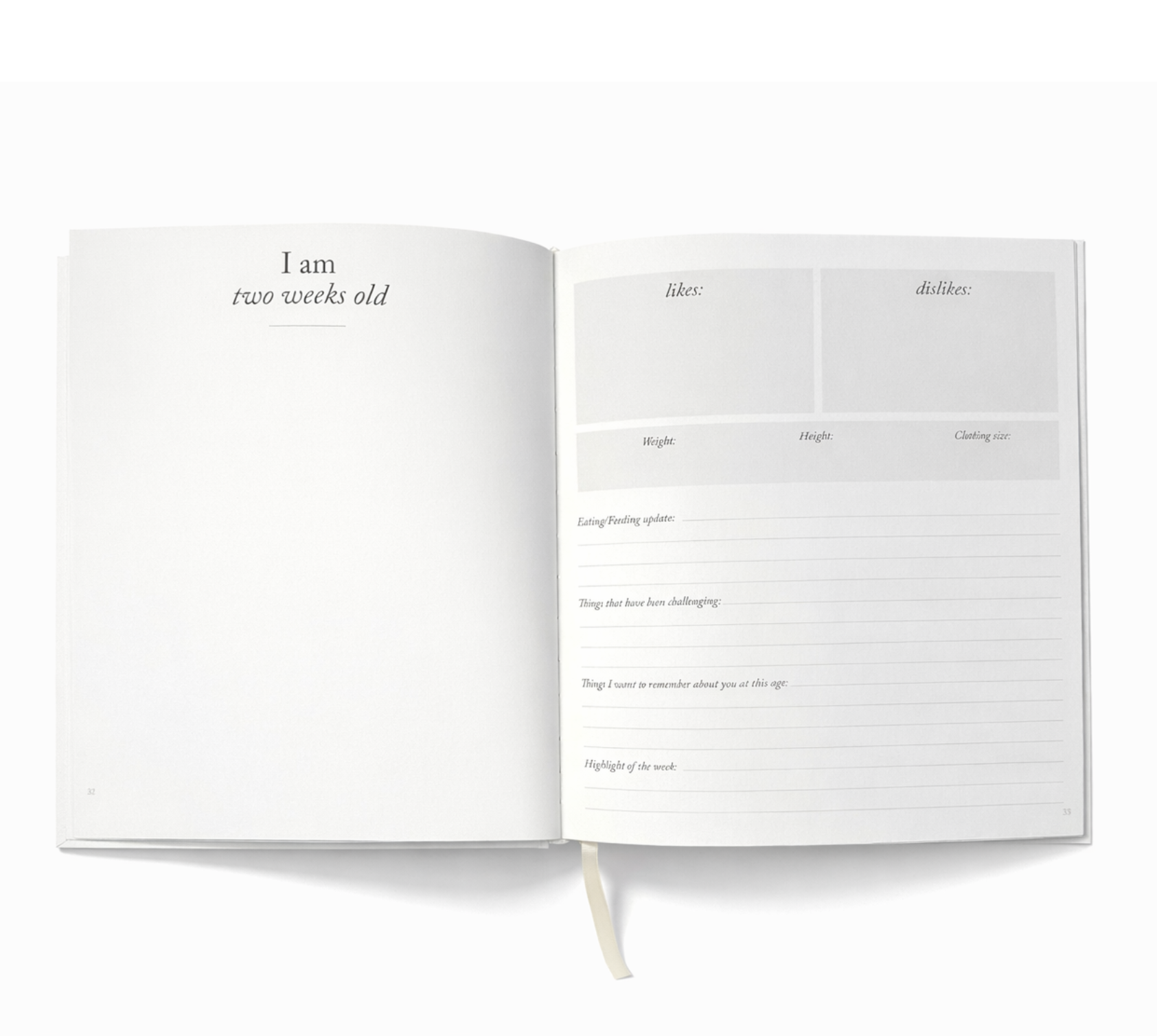 Baby’s First Year milestone journal spread with prompts for two weeks old including likes, dislikes, and feeding updates